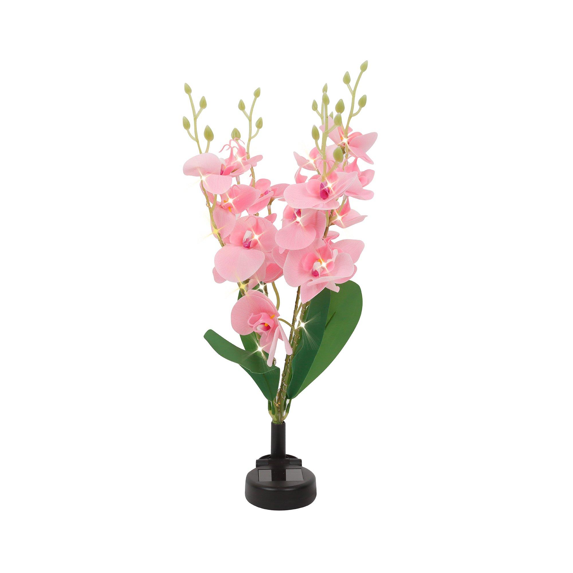 Pink/Green - Streetwize - Orchid Solar Lights - Exotic Garden Elegance - 2