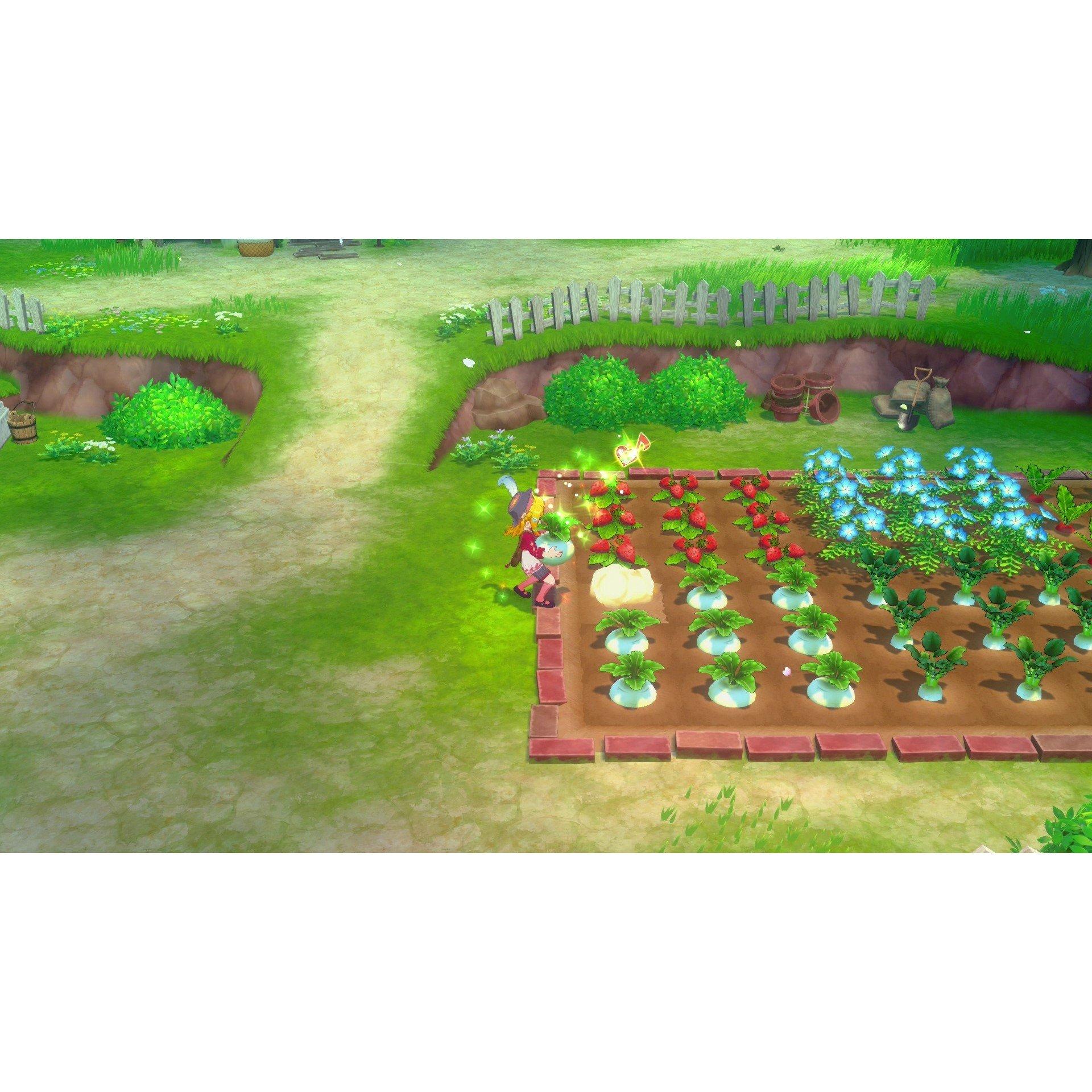 NSW - Marvelous Games - U&I STORY OF SEASONS Grand Bazaar - 7