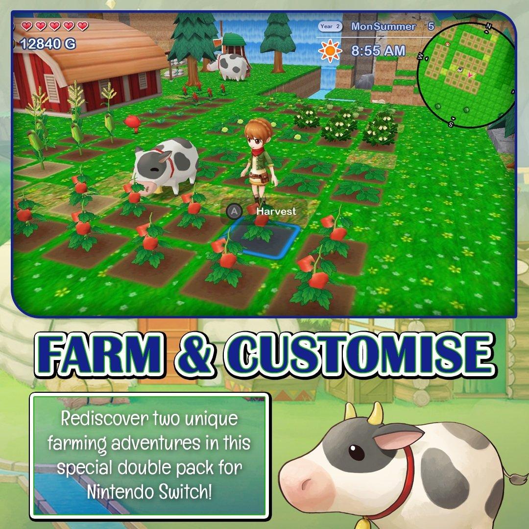 NSW - Numskull - Harvest Moon: The Lost Valley & Skytree Village Standard Edition - 2
