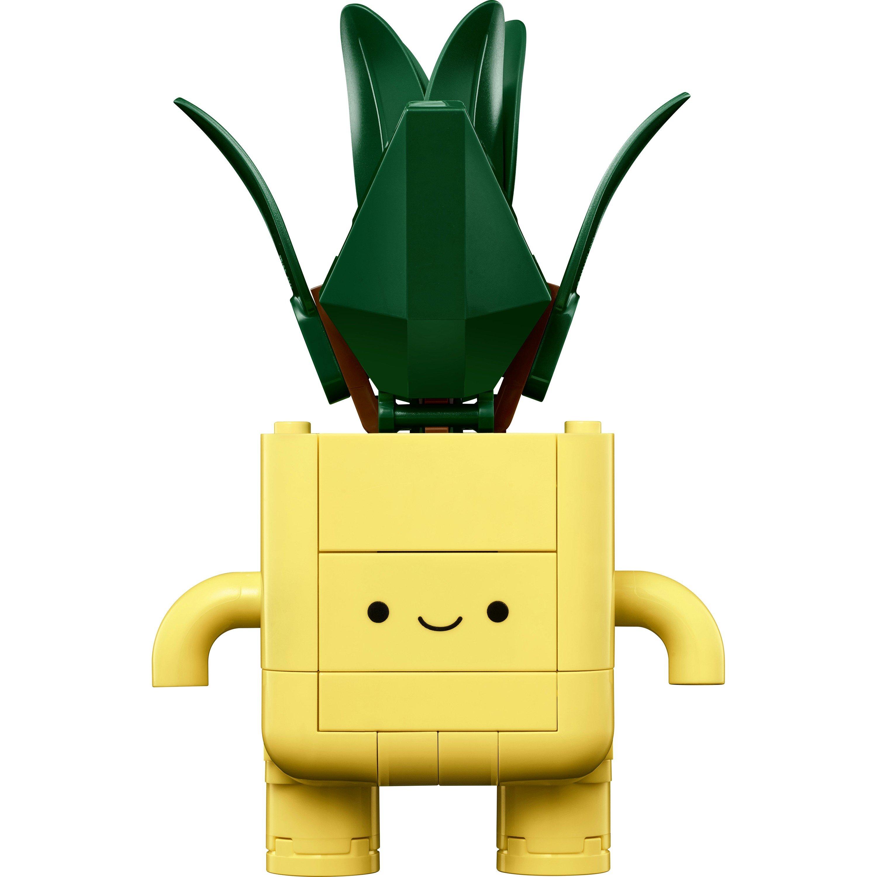 Blije Planten - LEGO - LEGO® Botanicals Happy Plants Shelf Decor 10349 - 14