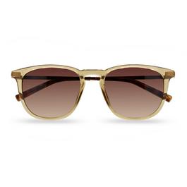 Ted Baker 1633 500 Retro Sunglasses