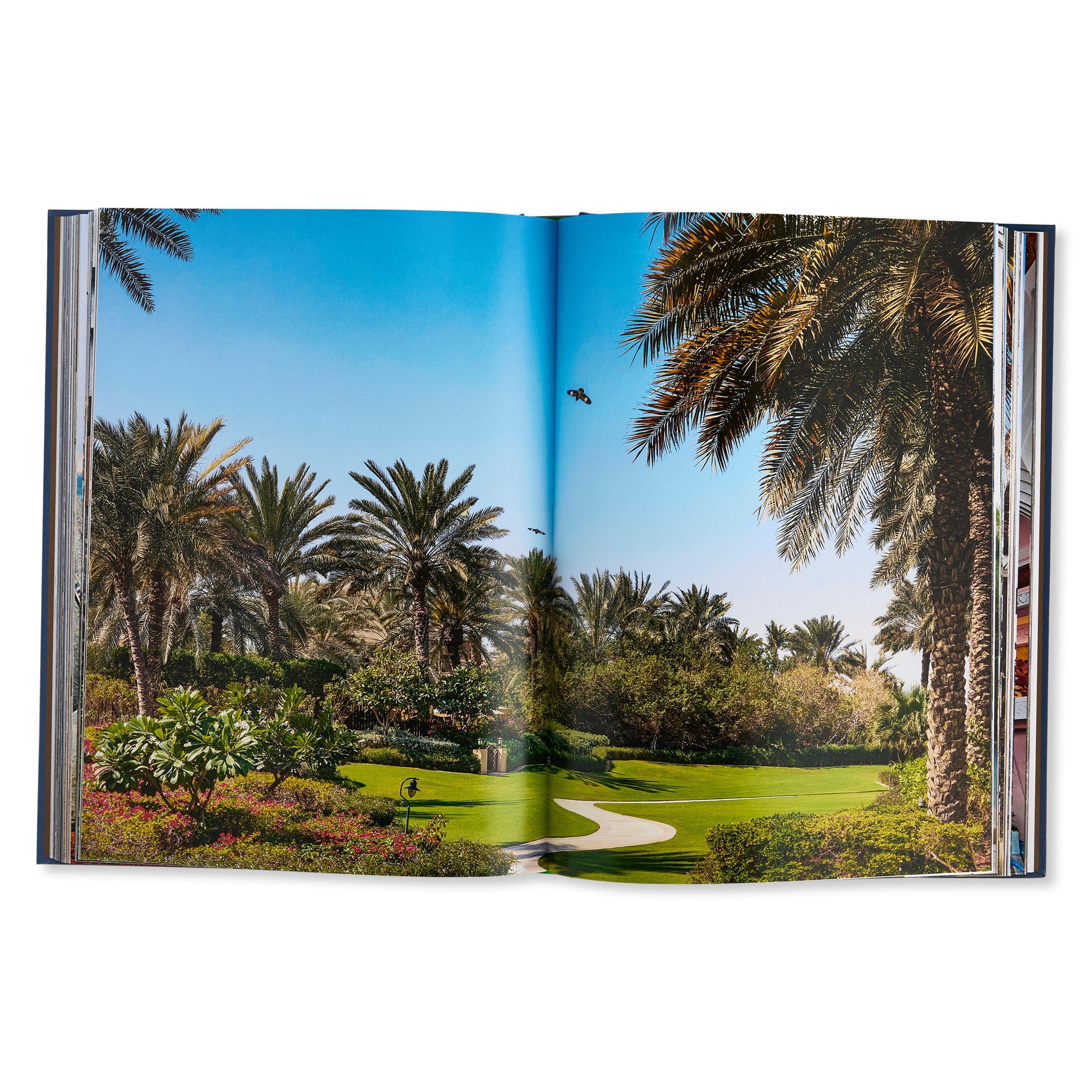 Blue - Assouline - Dubai Wonder - 3