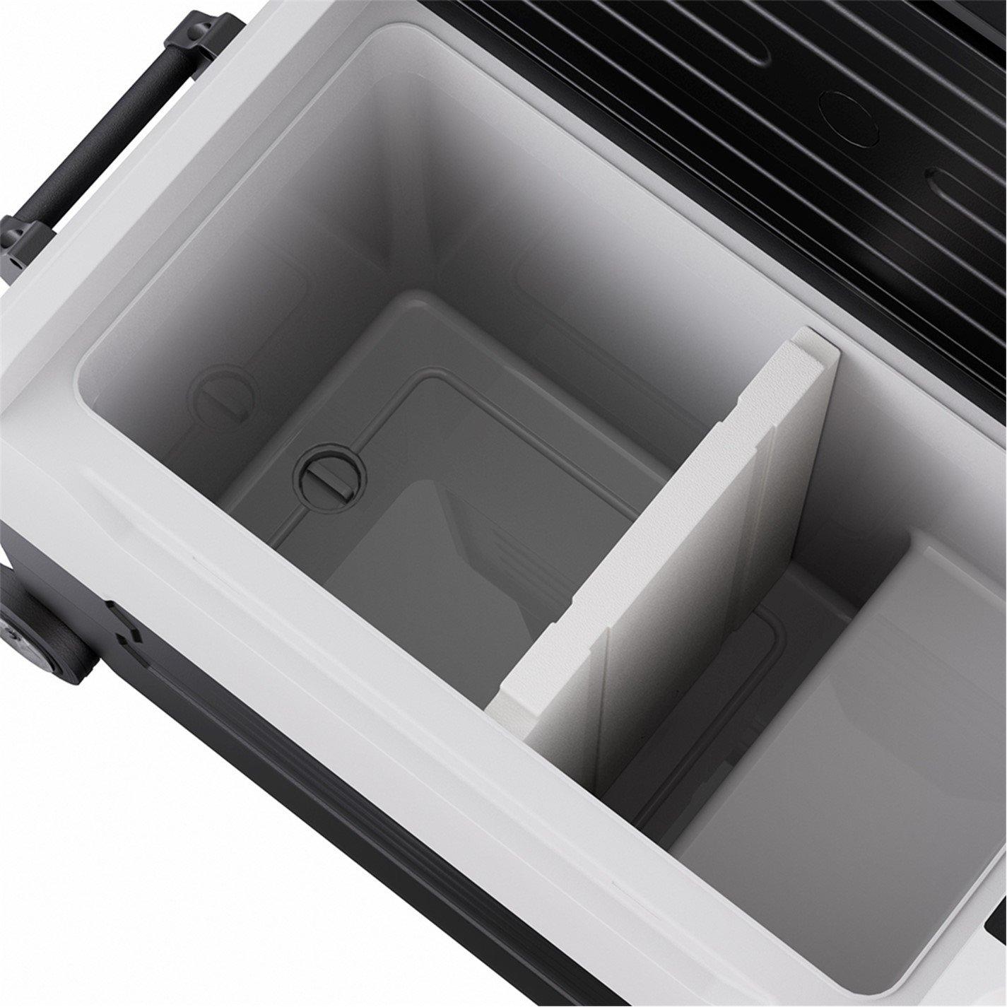 Whiteblack - Kabinet UK - 40L Compressor Car Refrigerator with Dual Temp - 6