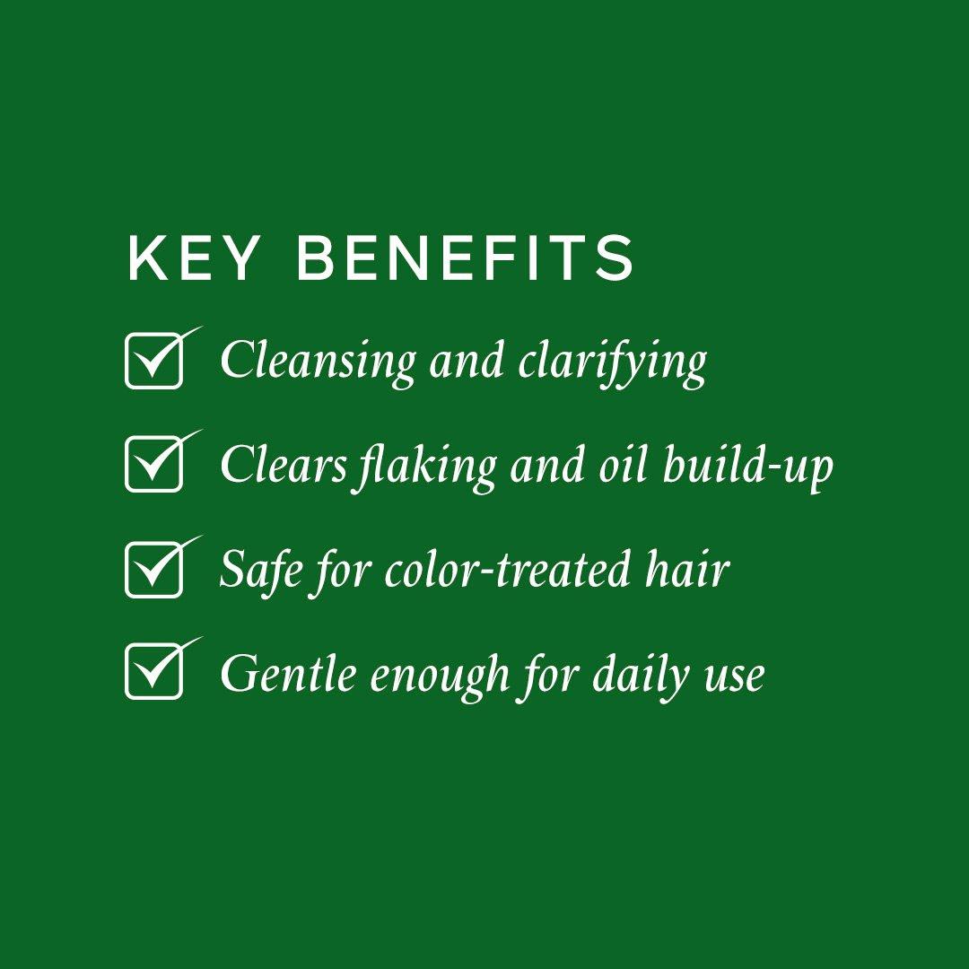 Clear - Philip Kingsley - Philipi Kingsley Hair Wash Heroes Clear Scald Edit - 5