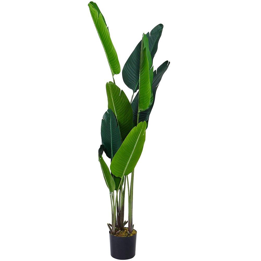 Green - LIFE IDEAS - 180cm Artificial Banana Leaf Tree in Pot - 4