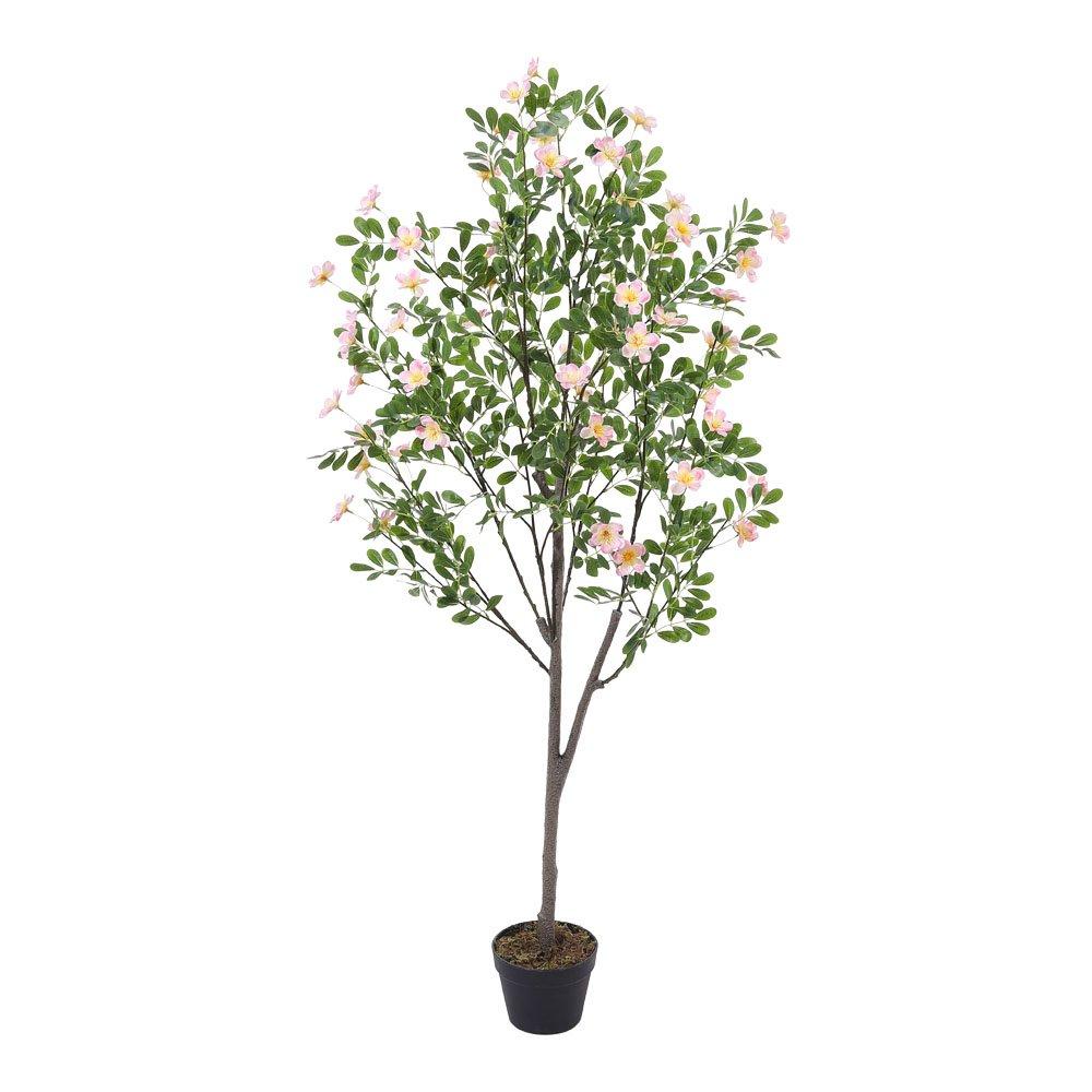 Pink And Green - LIFE IDEAS - Artificial Frangipani Tree in Pot - 3