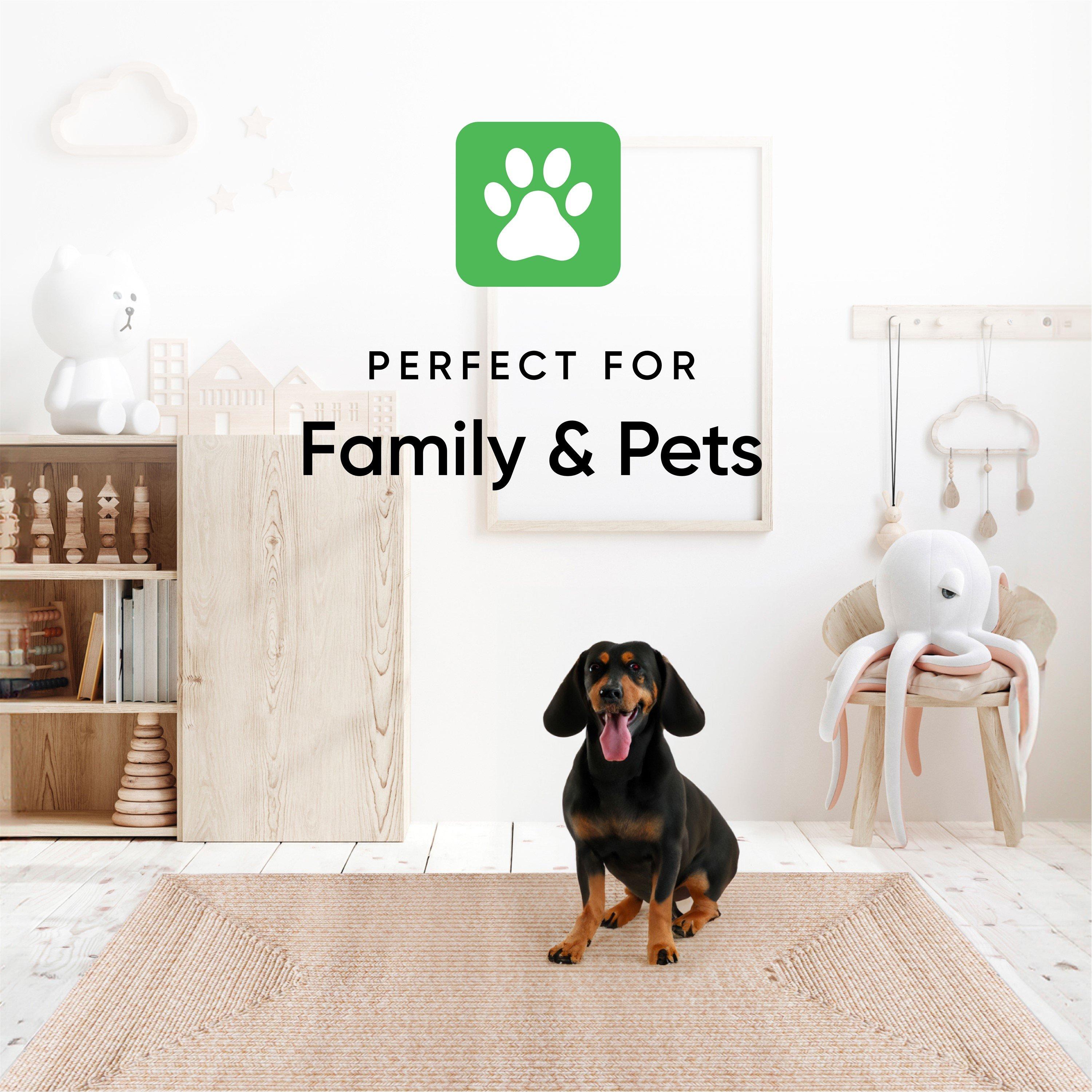 Beige - Streetwize - Jute Outdoor Rugs - 8