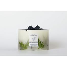French Connection French Connection Botanical Collection Vetivert Eu