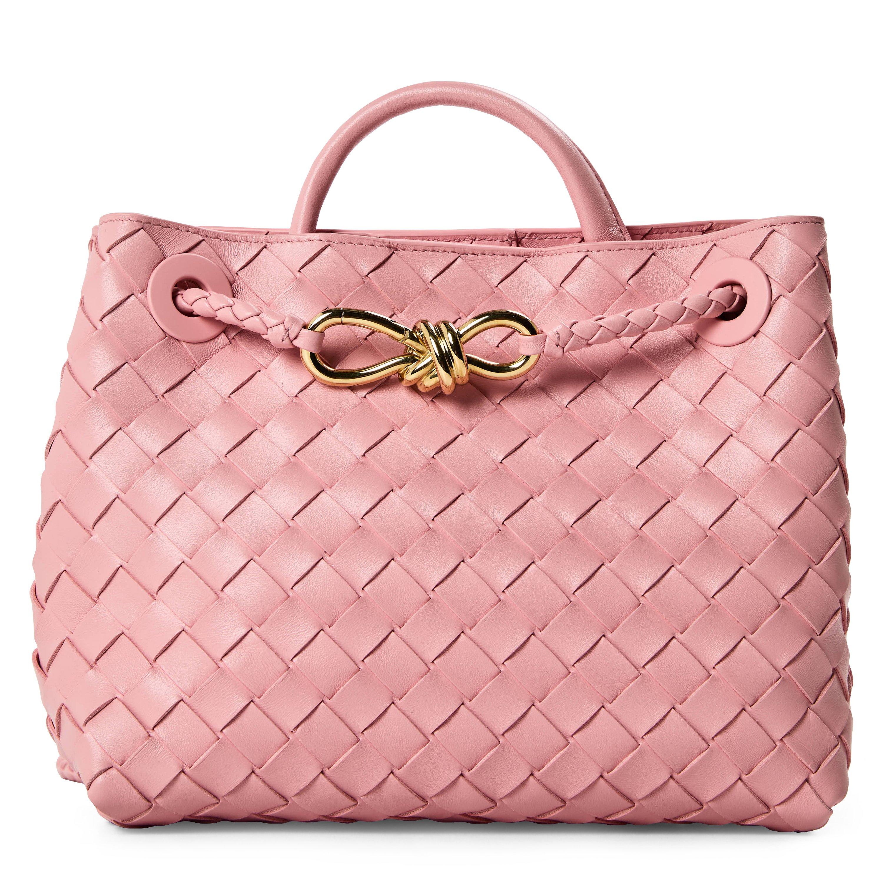 Bottega Veneta Small Andiamo - Blush