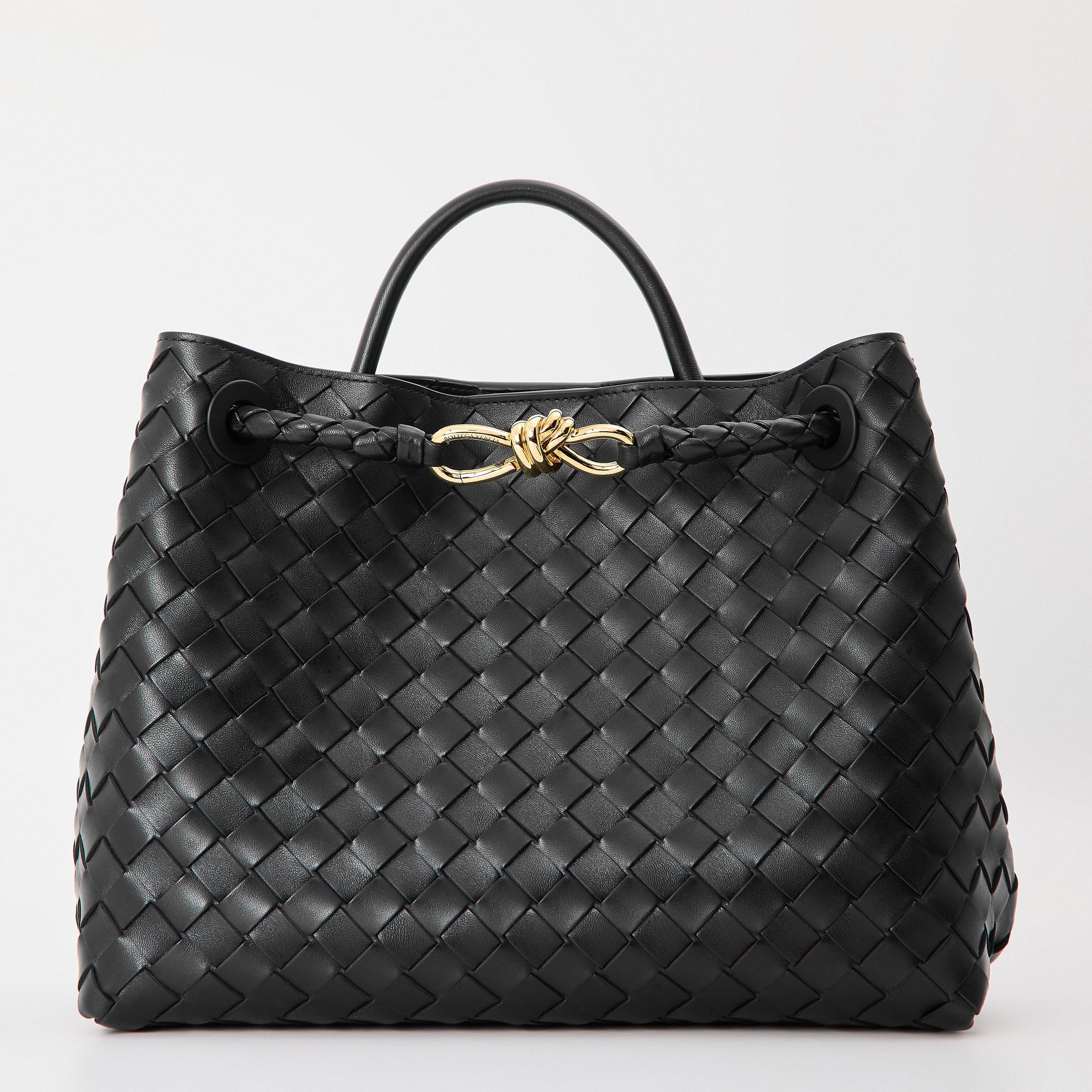 Bottega Veneta Medium Andiamo | Cruise Fashion