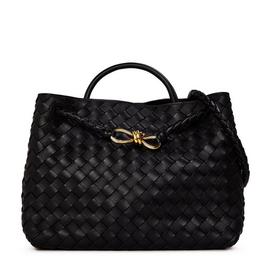 Bottega Veneta Medium Andiamo