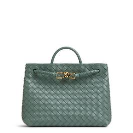 Bottega Veneta Medium Andiamo