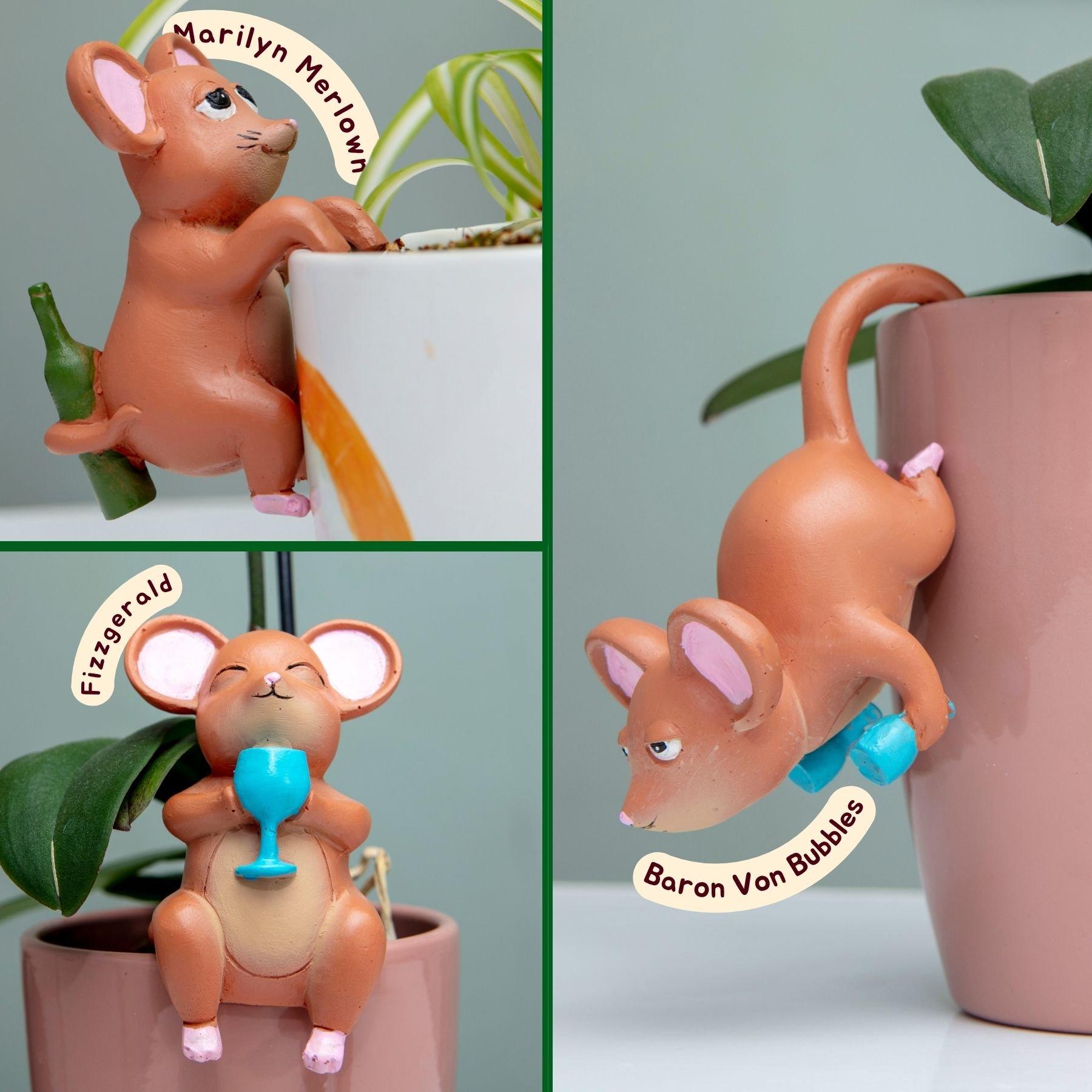 Multi - Boxer Gifts - Tipsy Tails Funny Plant Pot Hanging Ornament - 4