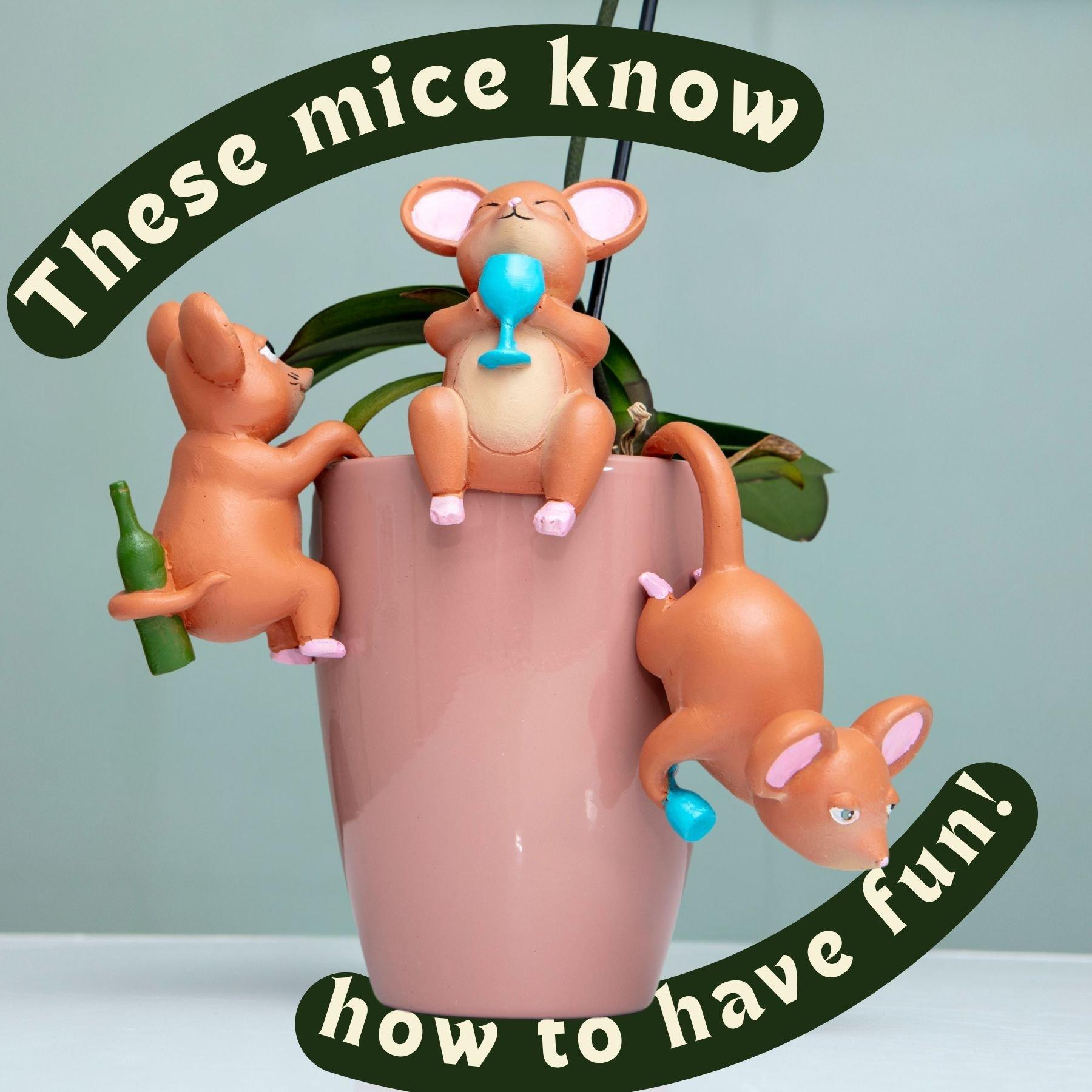 Multi - Boxer Gifts - Tipsy Tails Funny Plant Pot Hanging Ornament - 5