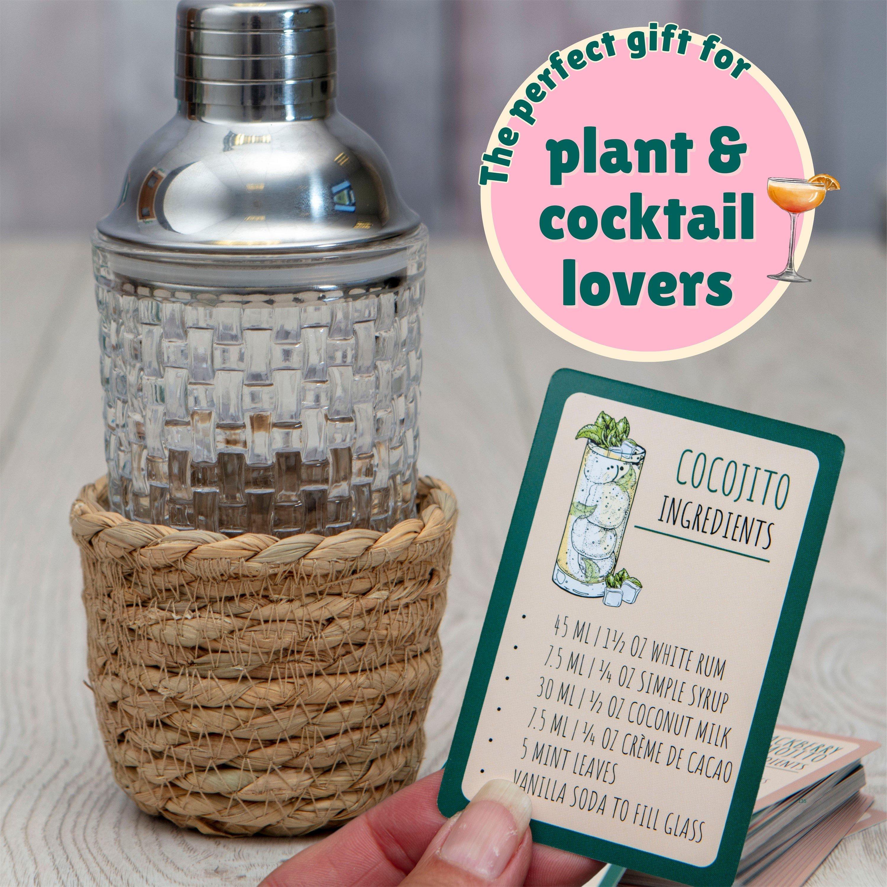 Multi - Boxer Gifts - Seed to Sip Grow Your Own Cocktails Gift Set - 4