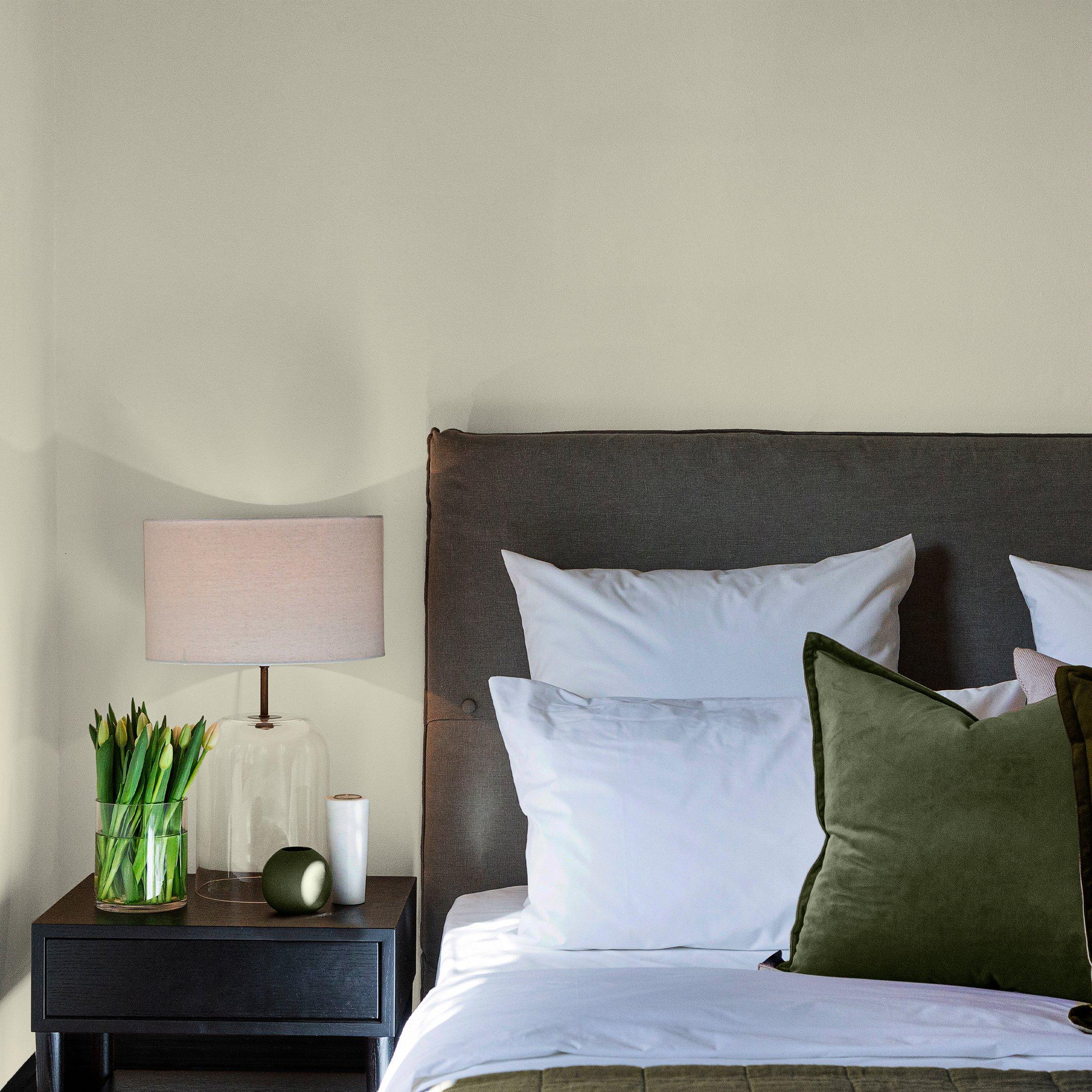 Nap Time - Superfresco Easy - Nap Time Multi-Surface Paint - 2