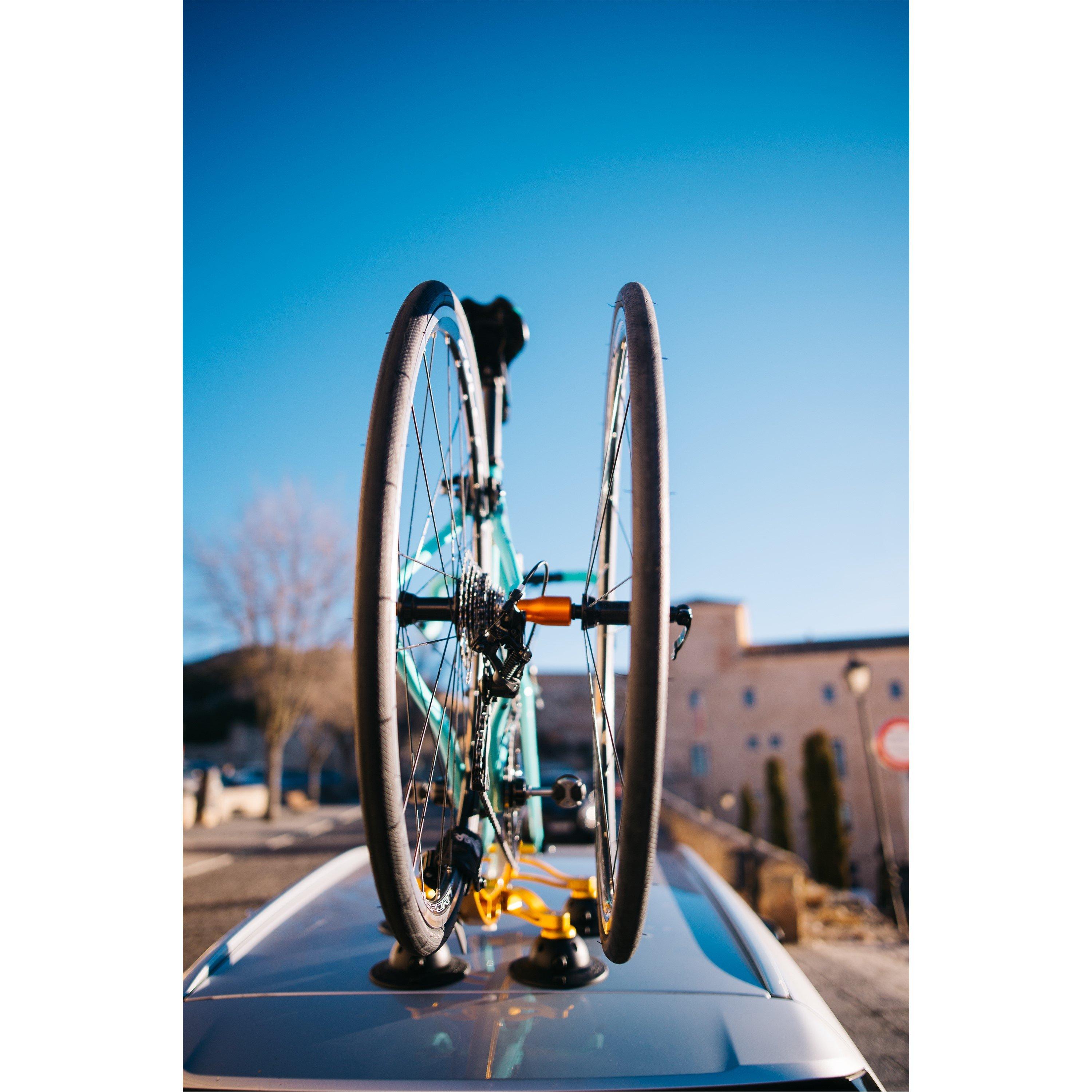 Gold - Seasucker - Hogg Front Wheel Holder - 3