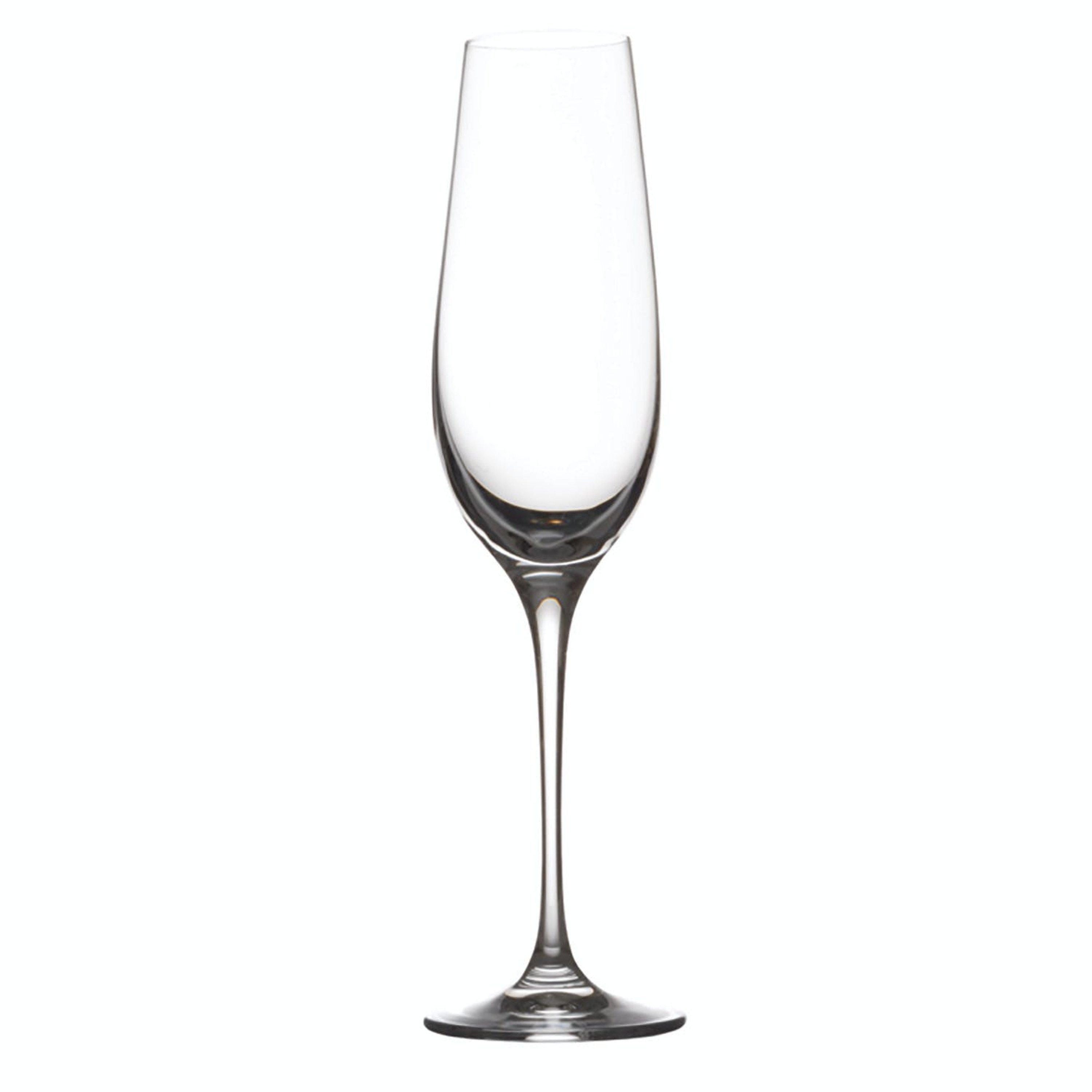 Transparent - Maxwell & Williams - Maxwell & Williams Vino Flute 180ml Set of 6 Gift - 2