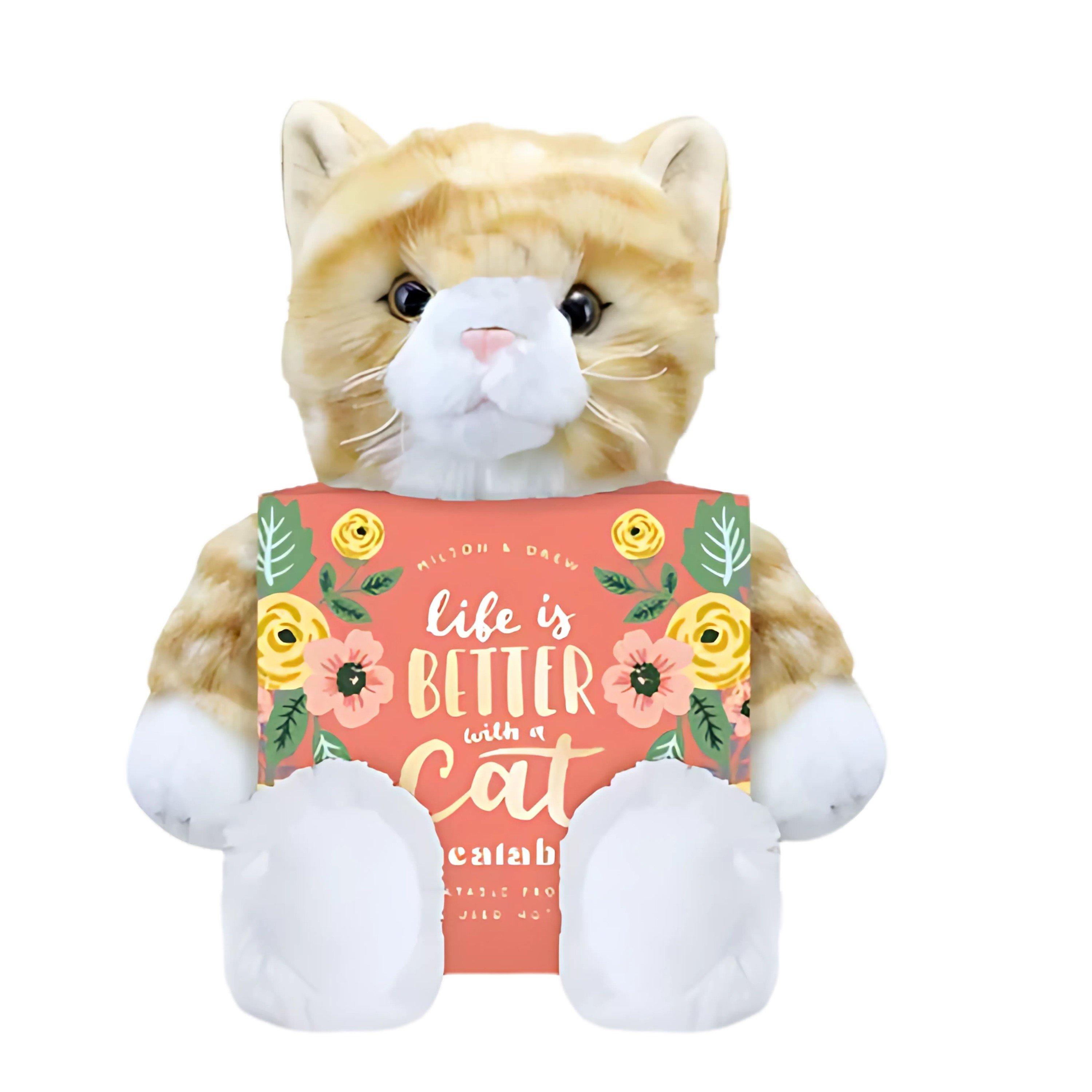 Orange - Milton And Drew - Cat Heatable