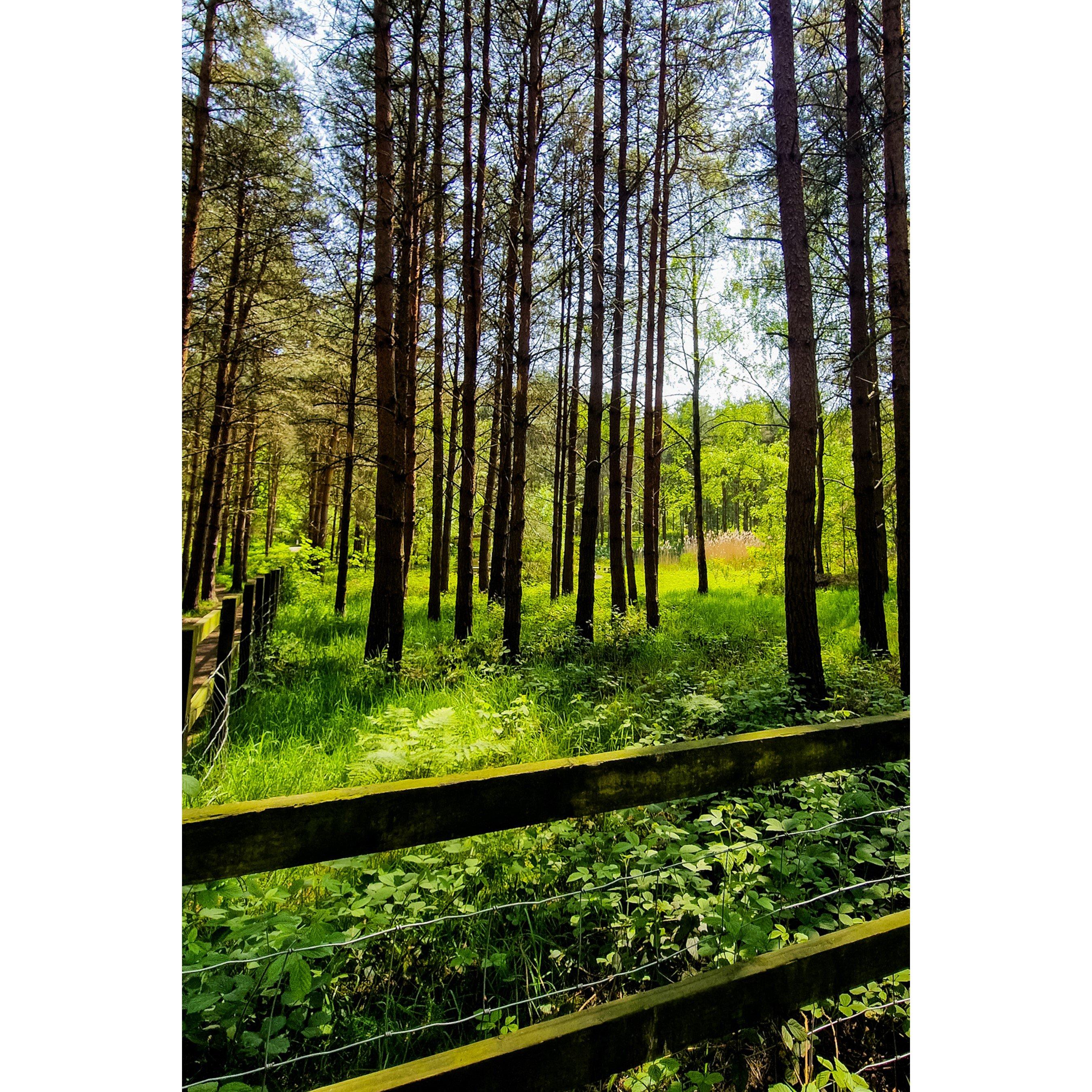 None - Activity Superstore - Two Night Glamping Pod Escape at Sherwood Forest f - 3