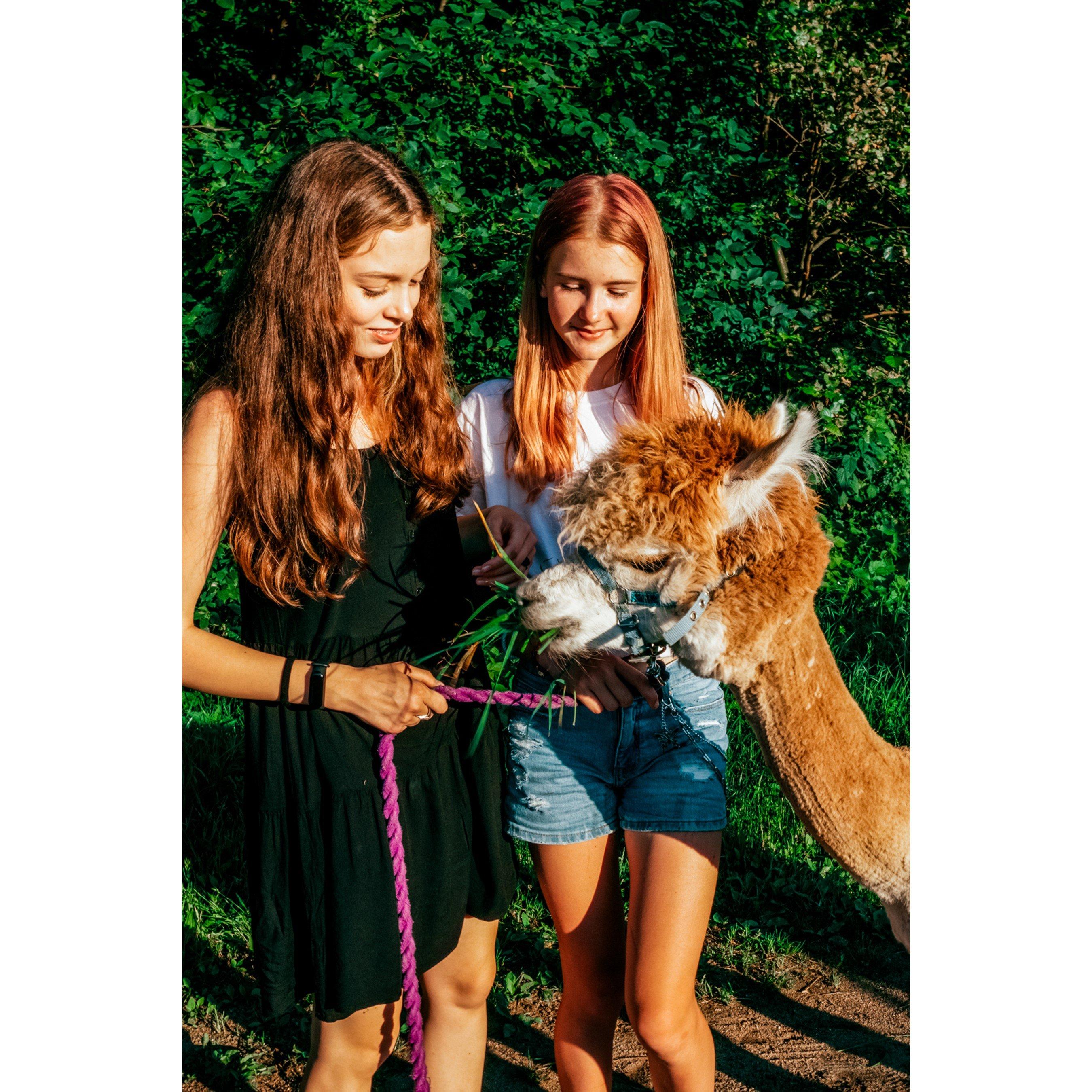 None - Activity Superstore - Fun Family Days Out - 2