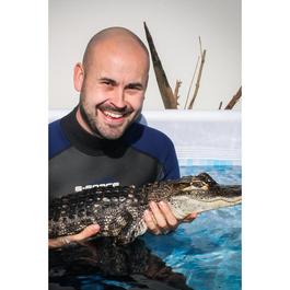 Activity Superstore Swimming with the Crocodiles for Two & Lunch