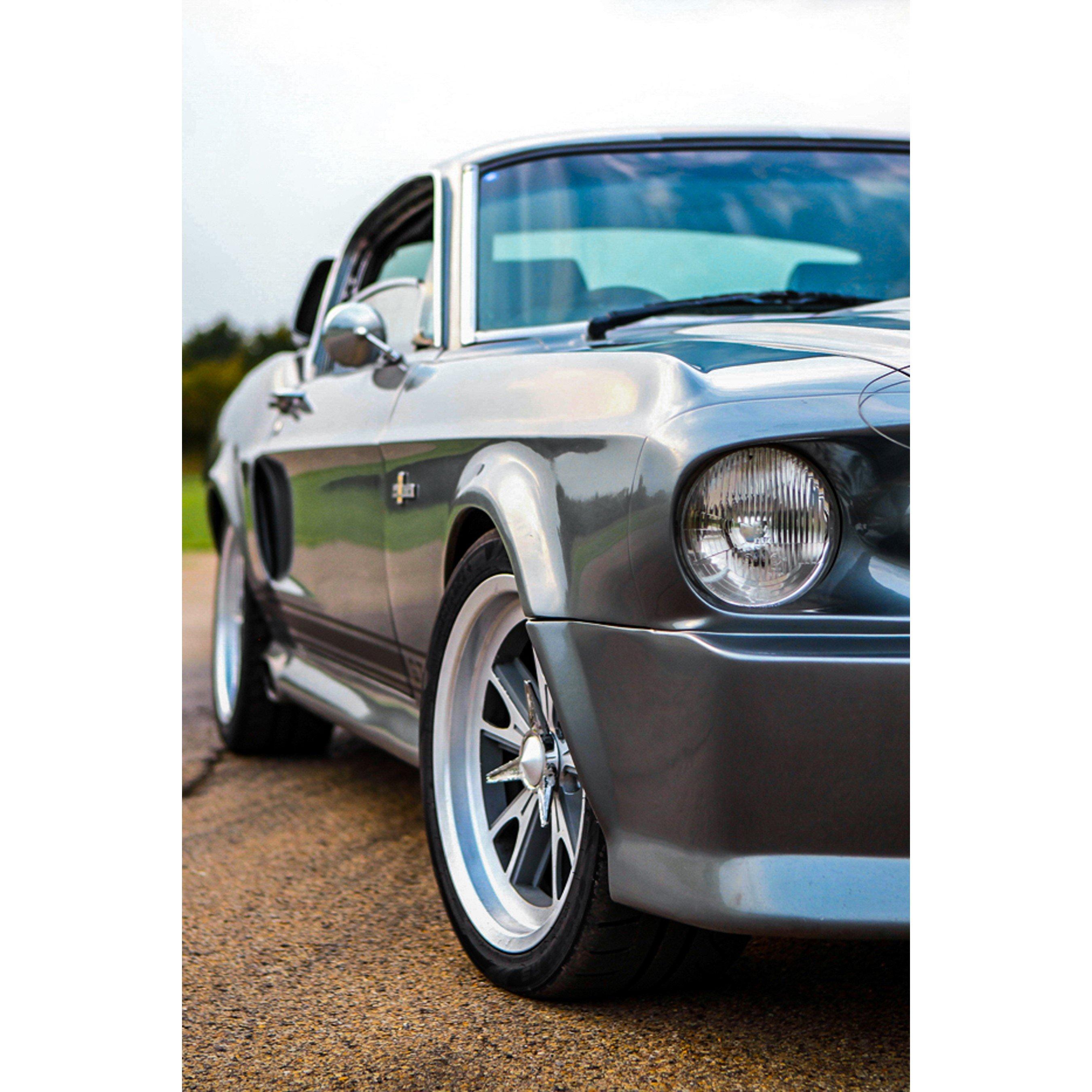 None - Activity Superstore - Eleanor Mustang GT500 Experience - 3