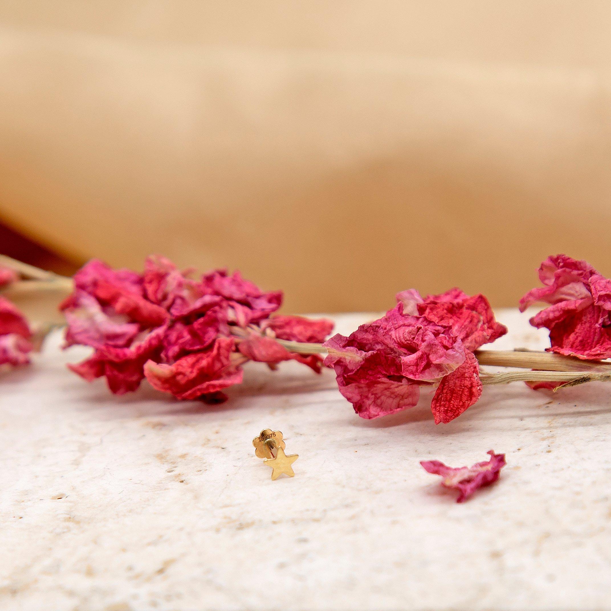 Yellow Gold - Be You - 9ct Gold Star Labret Stud - 3