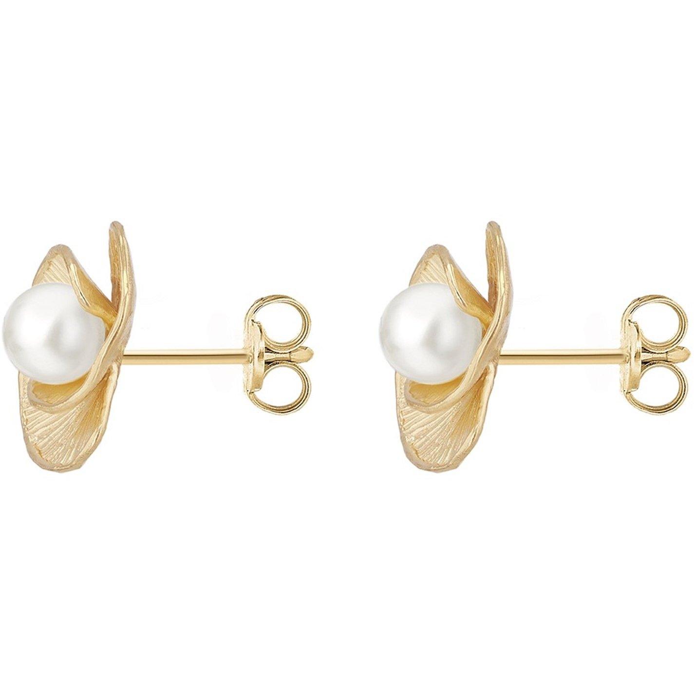 Yellow Gold - Be You - 9ct Gold  Freshwater Pearl Flower Stud Earrings - 5