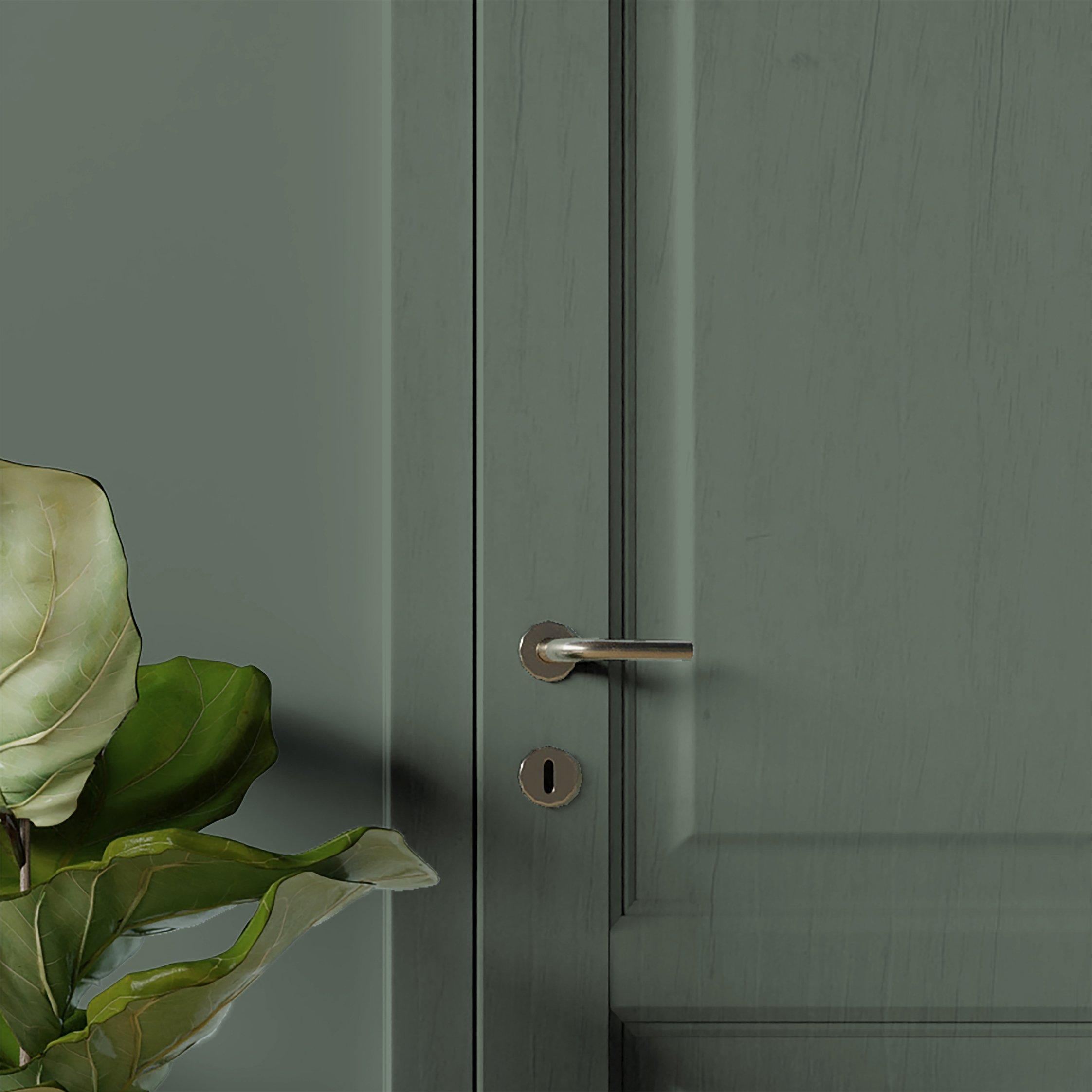 Stay Wild - Superfresco Easy - Stay Wild Multi-Surface Paint - 3