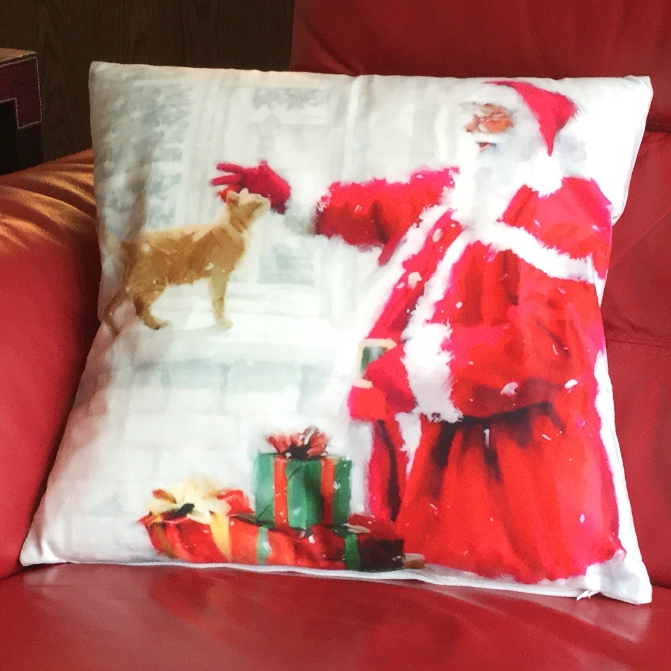 Multicolour - Alan Symonds - Santa & Cat Christmas Cushion - 1