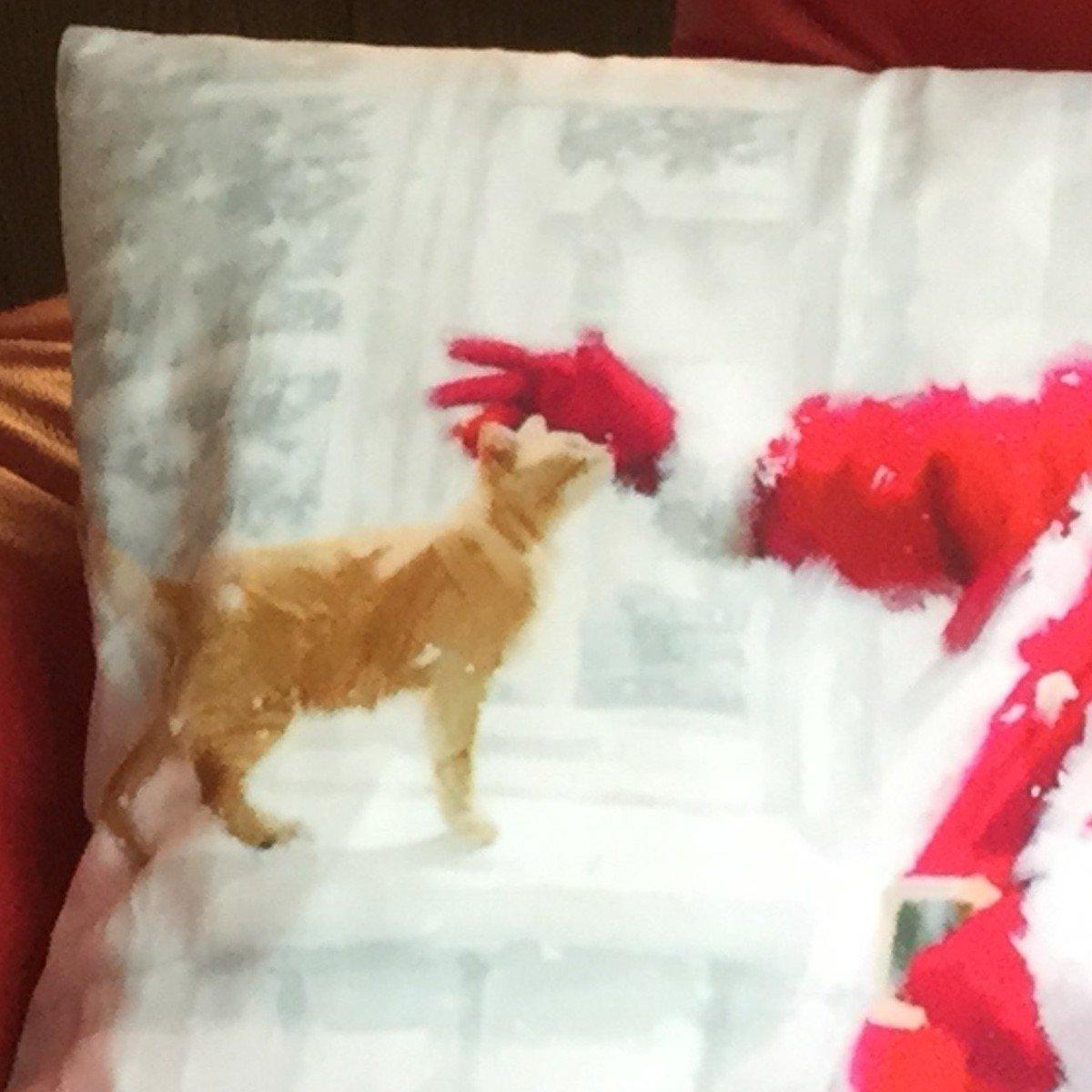 Multicolour - Alan Symonds - Santa & Cat Christmas Cushion - 2