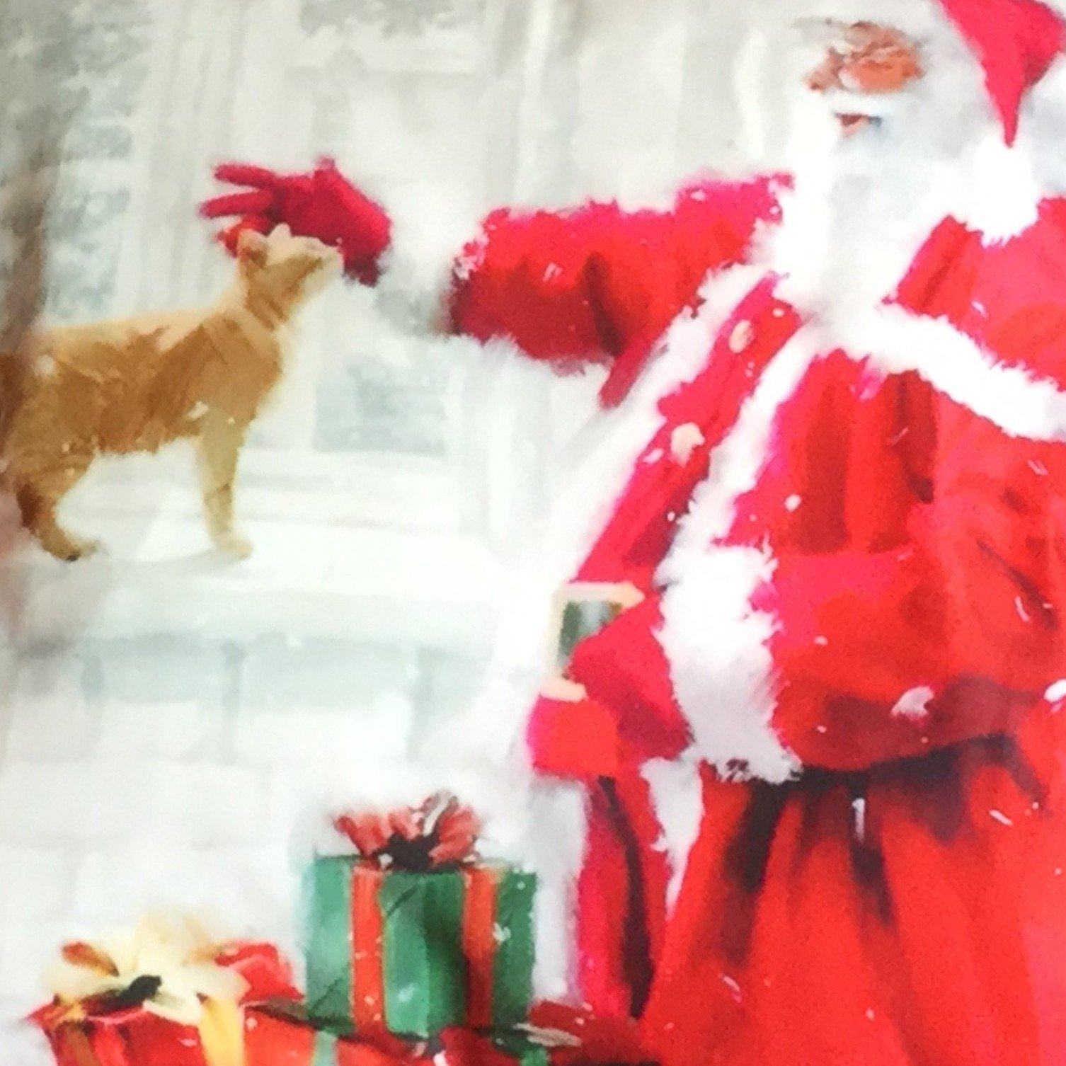 Multicolour - Alan Symonds - Santa & Cat Christmas Cushion - 3