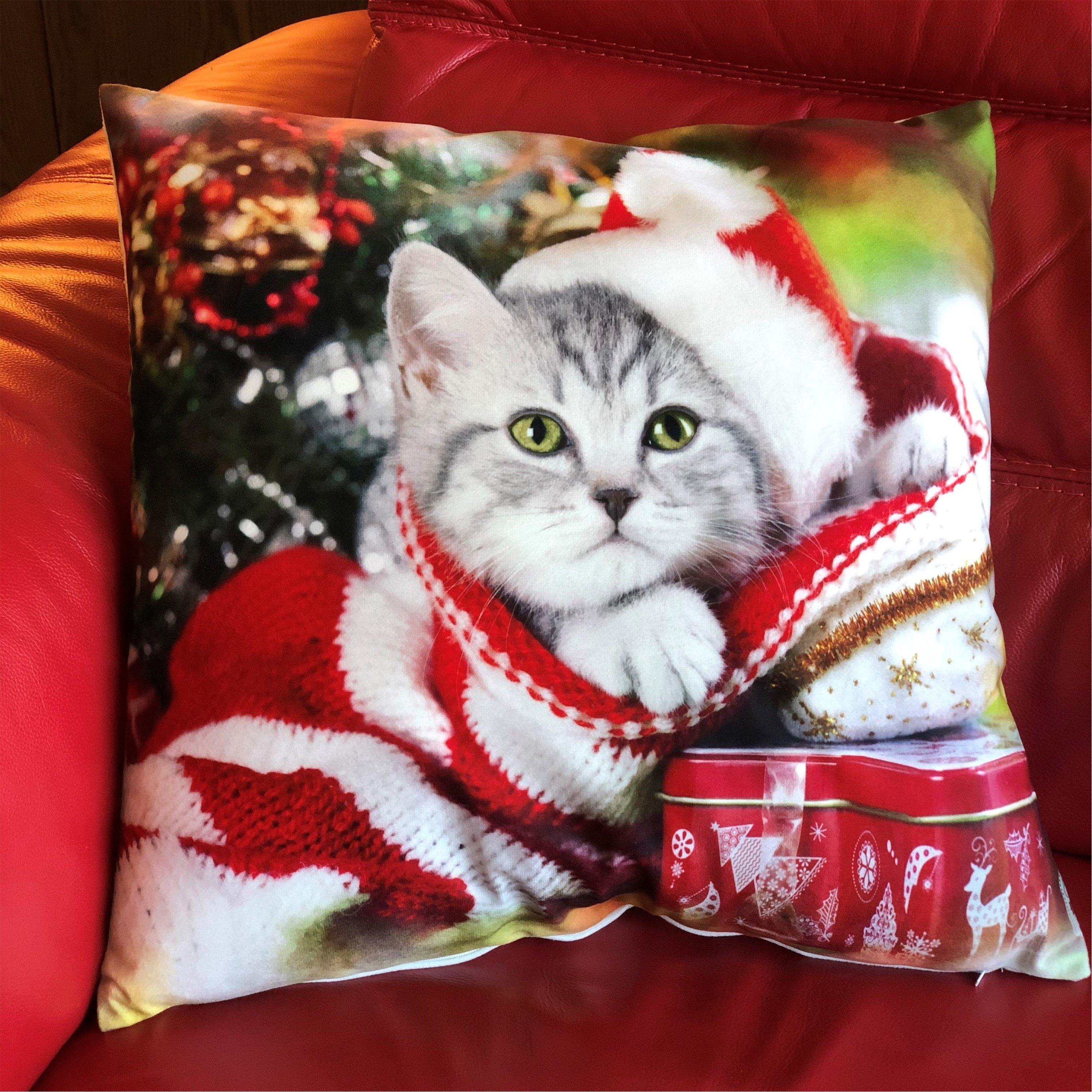 Multicolour - Alan Symonds - Cat Velvet Christmas Cushion - 1