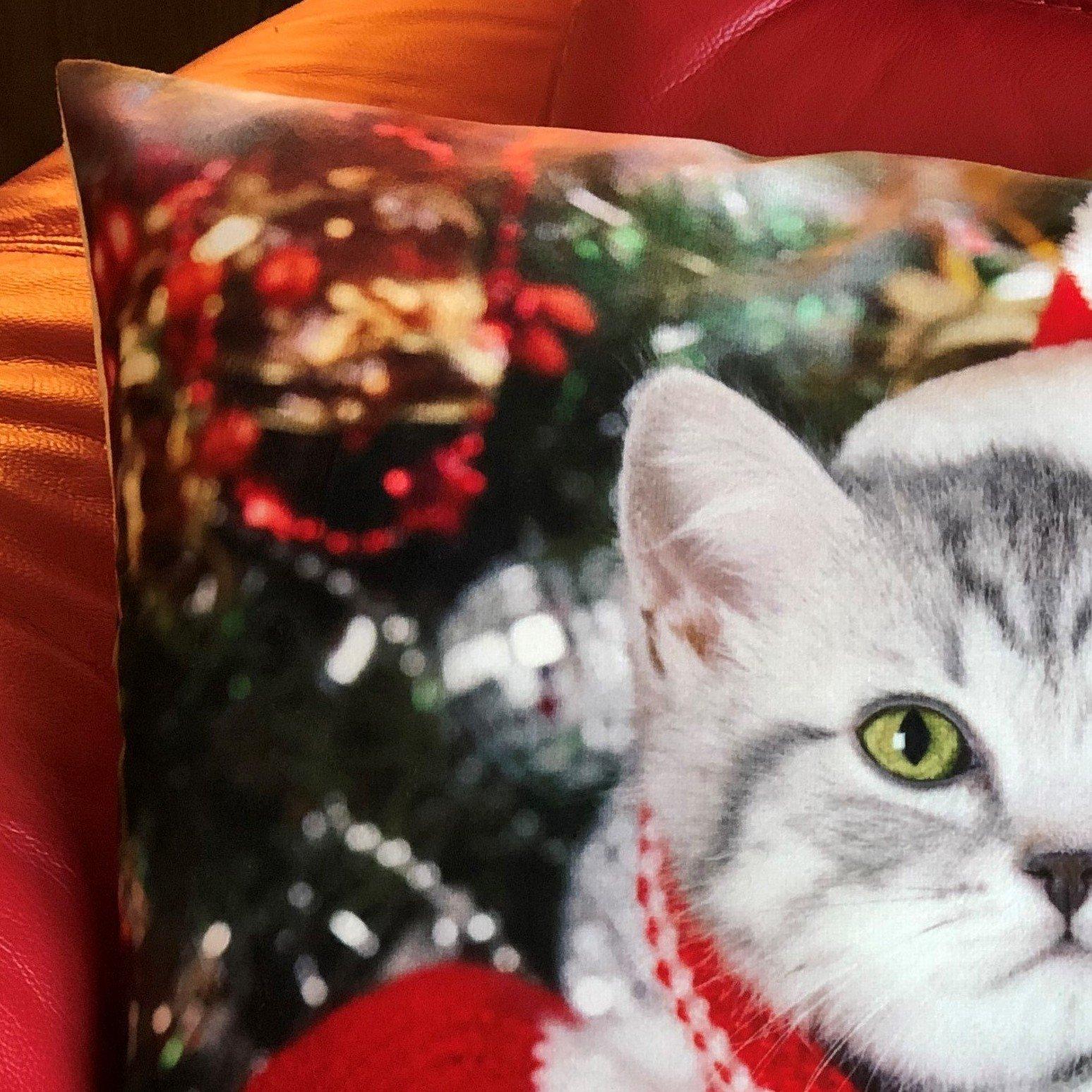 Multicolour - Alan Symonds - Cat Velvet Christmas Cushion - 2