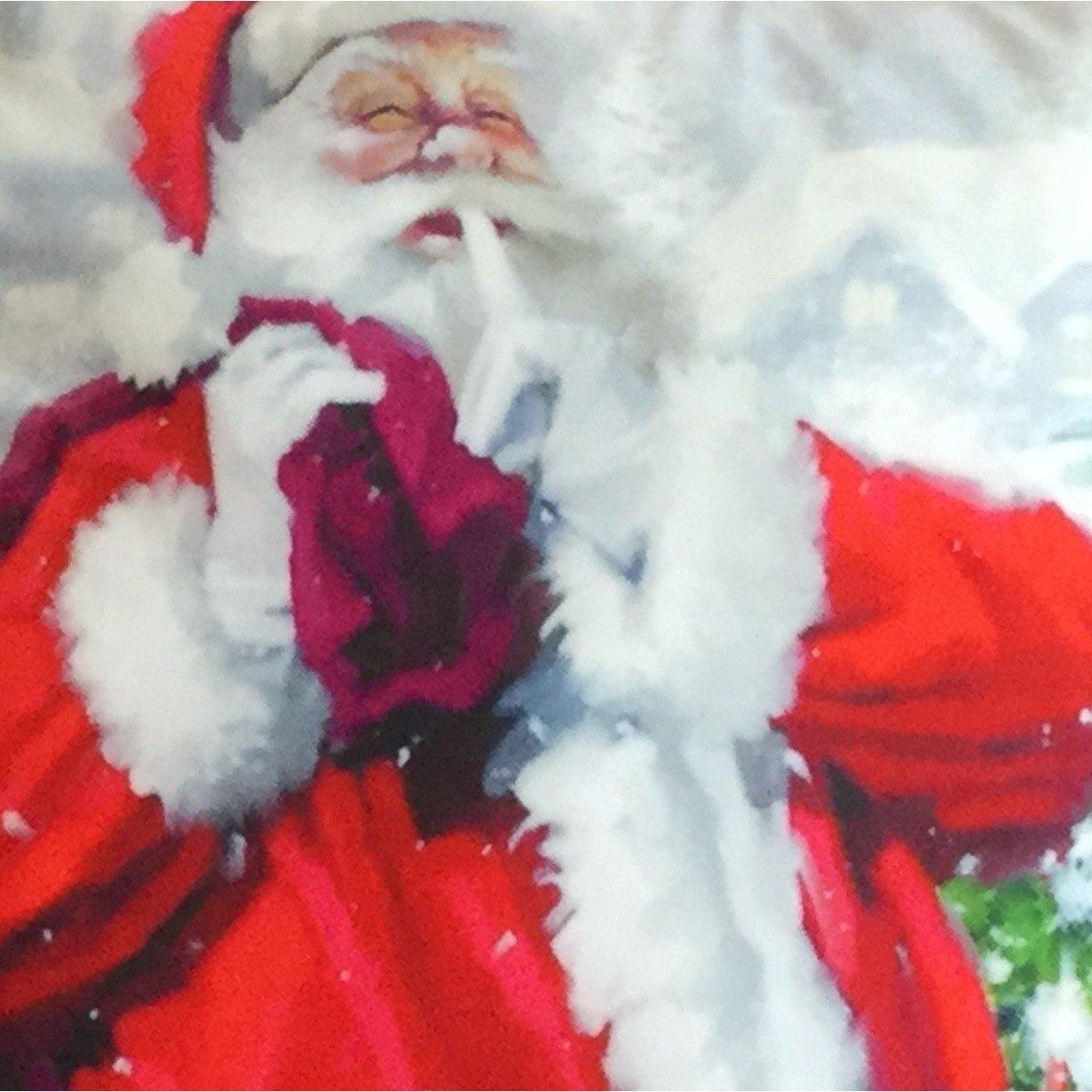 Multicolour - Alan Symonds - Santa & Sack Christmas Cushion - 3