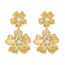Ted Baker Ted Petar Earrings Ld99