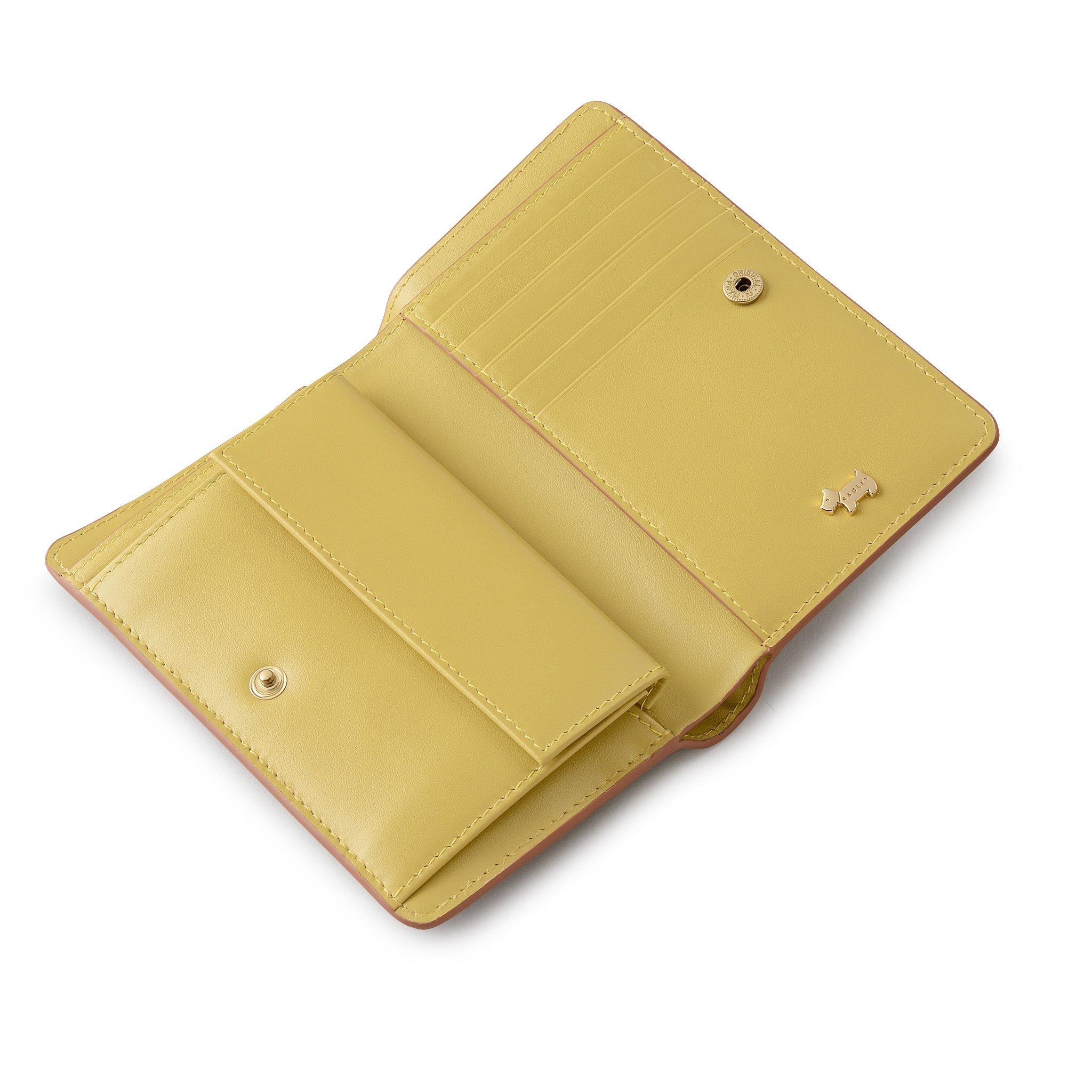 SALT - Radley - Radley BloomsPurse Ld63 - 3