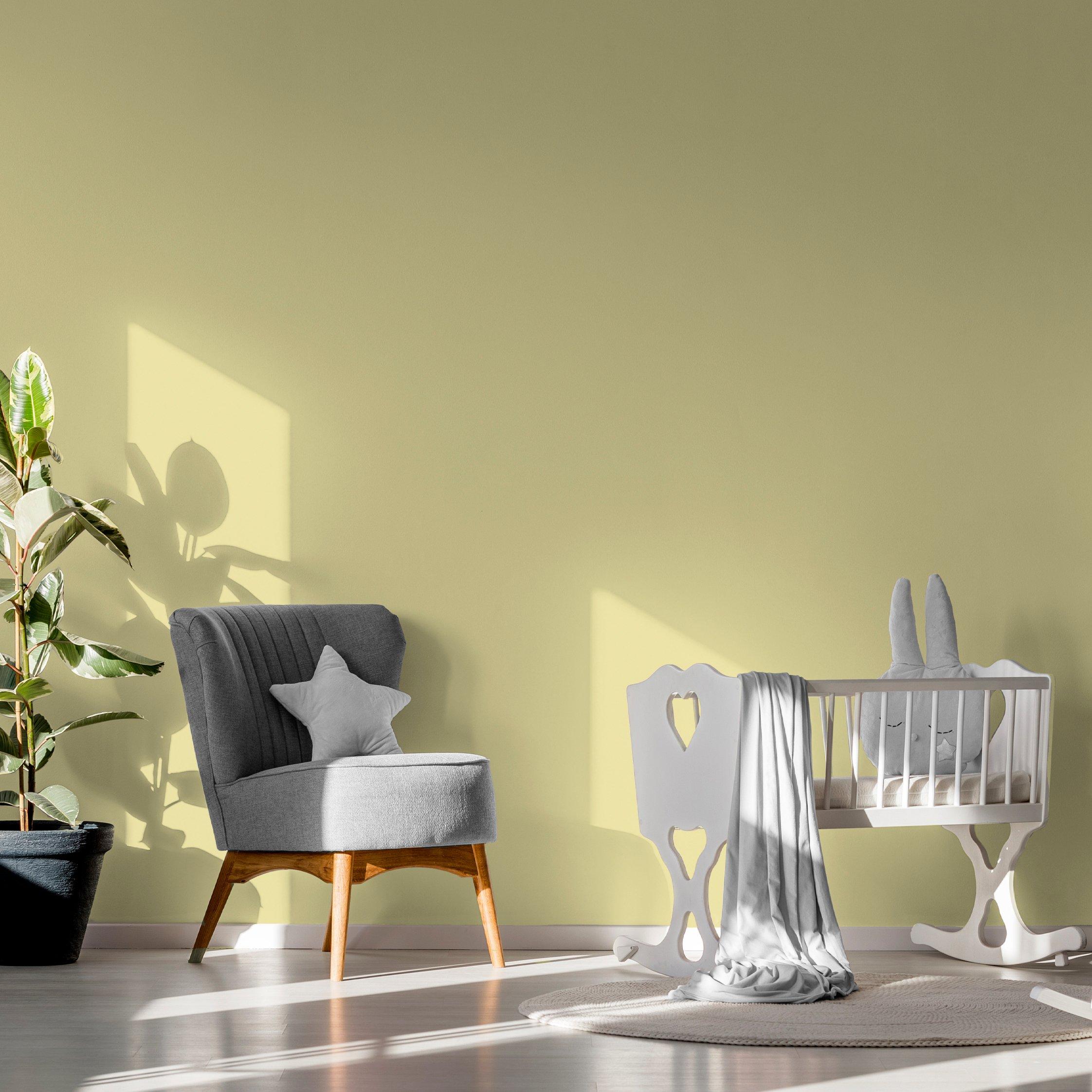 Queen Bee - Superfresco Easy - Queen Bee Multi-Surface Paint - 2