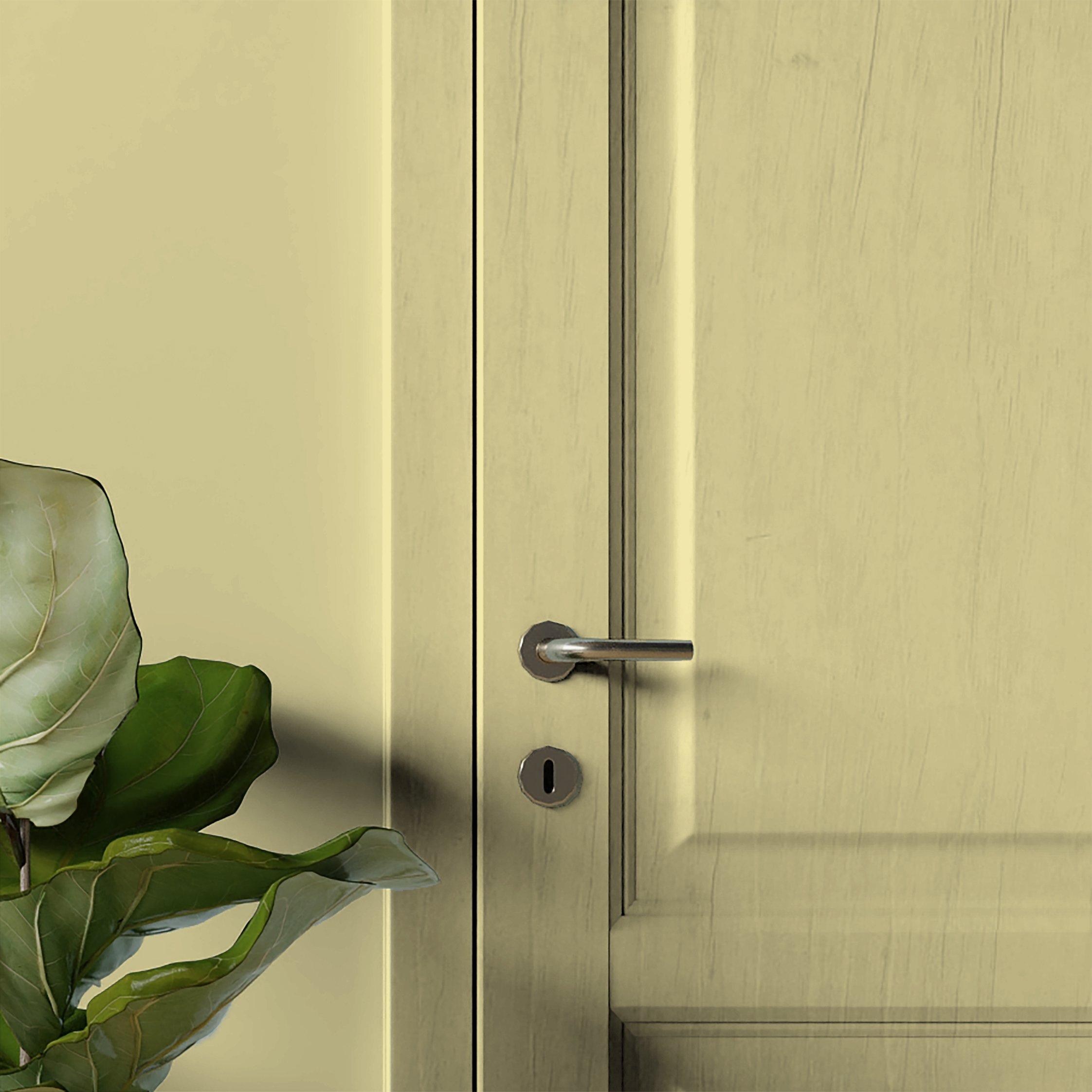 Queen Bee - Superfresco Easy - Queen Bee Multi-Surface Paint - 3