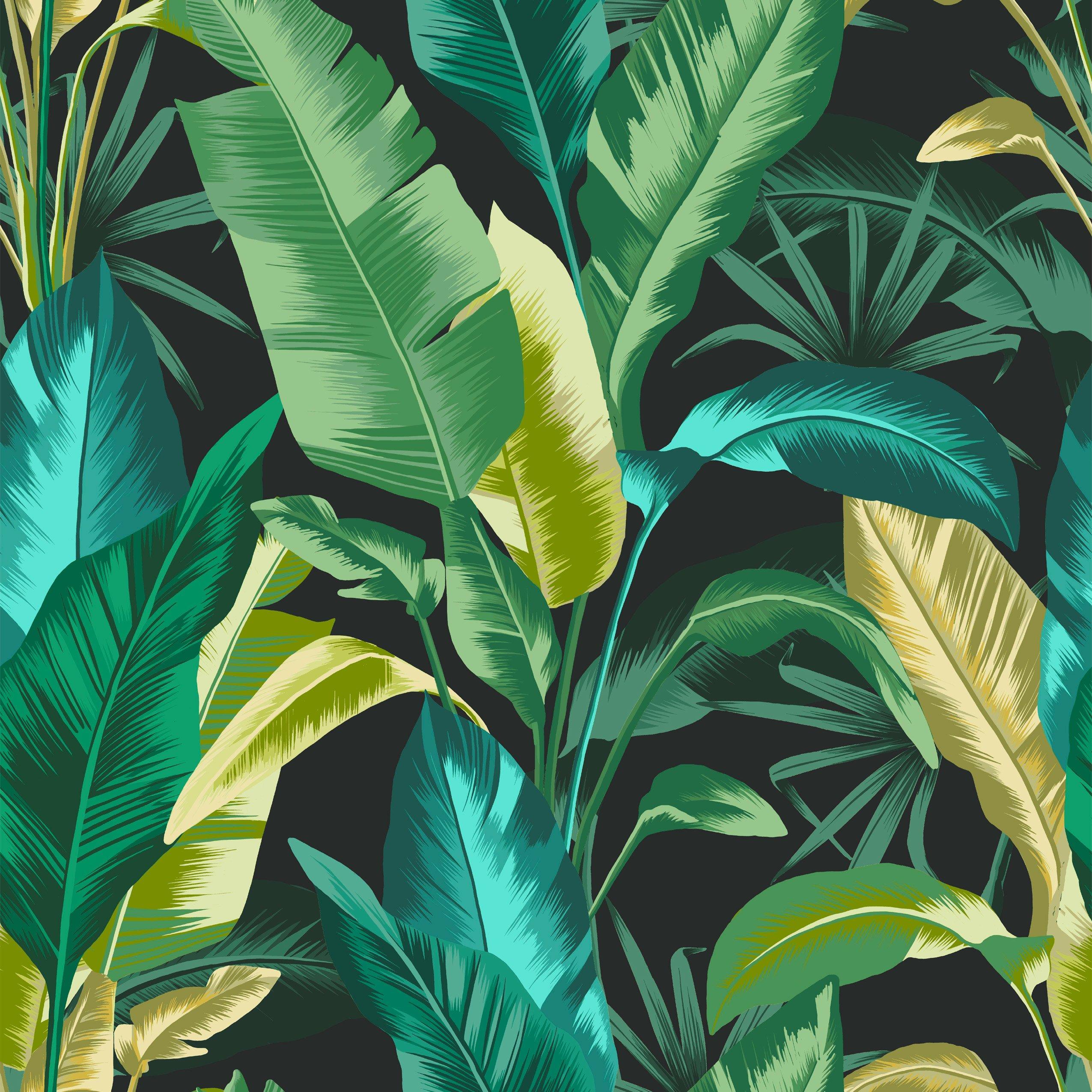 Green - Envy - Leaf It Out Midnight Wallpaper - 2
