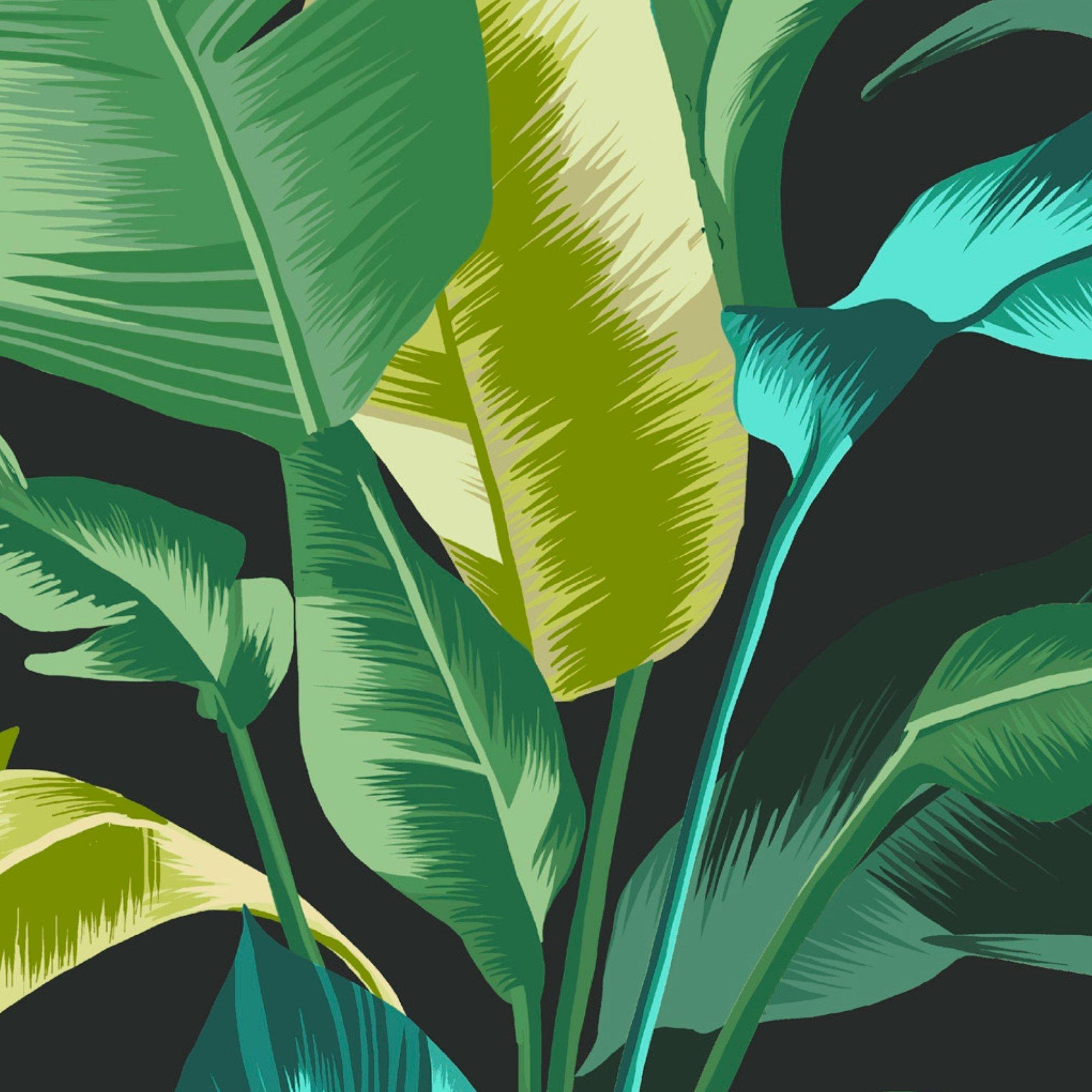 Green - Envy - Leaf It Out Midnight Wallpaper - 4