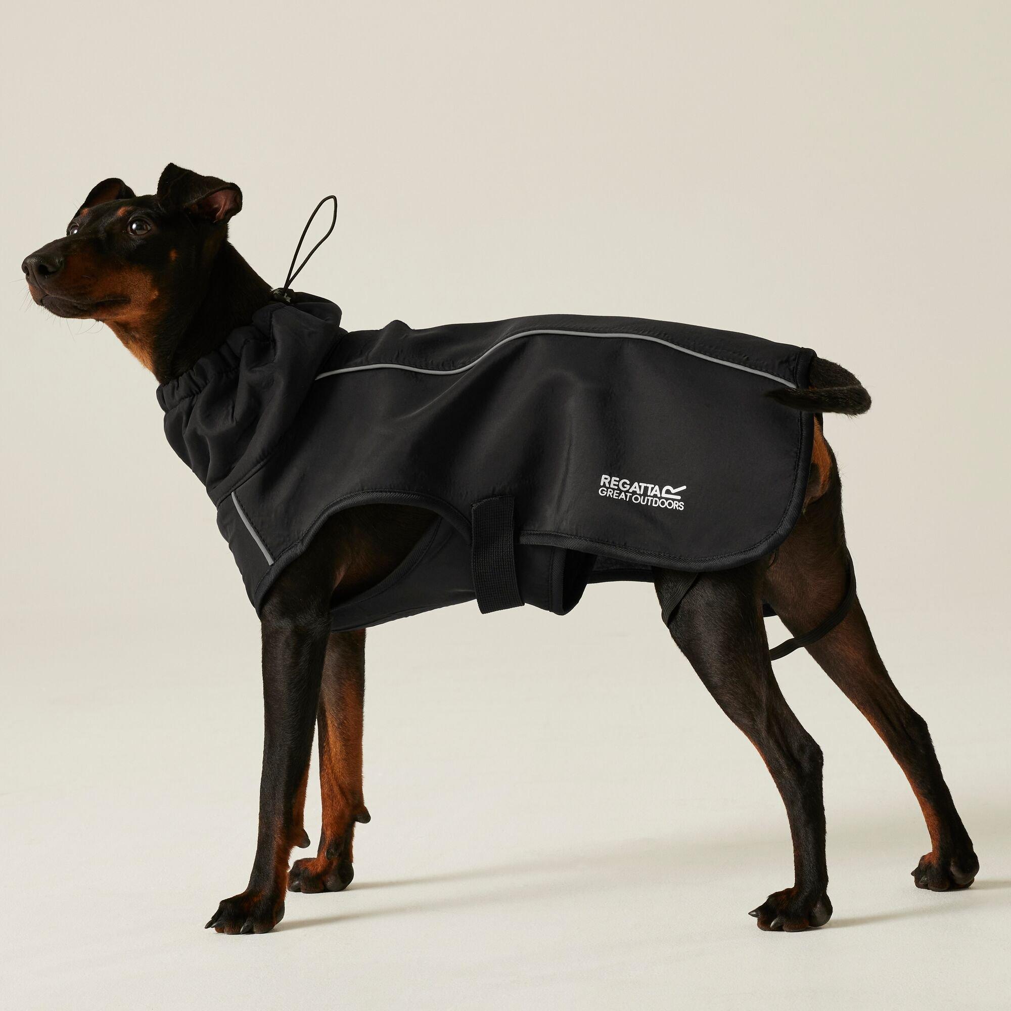 Black - Regatta - Softshell Dog Jacket - 1