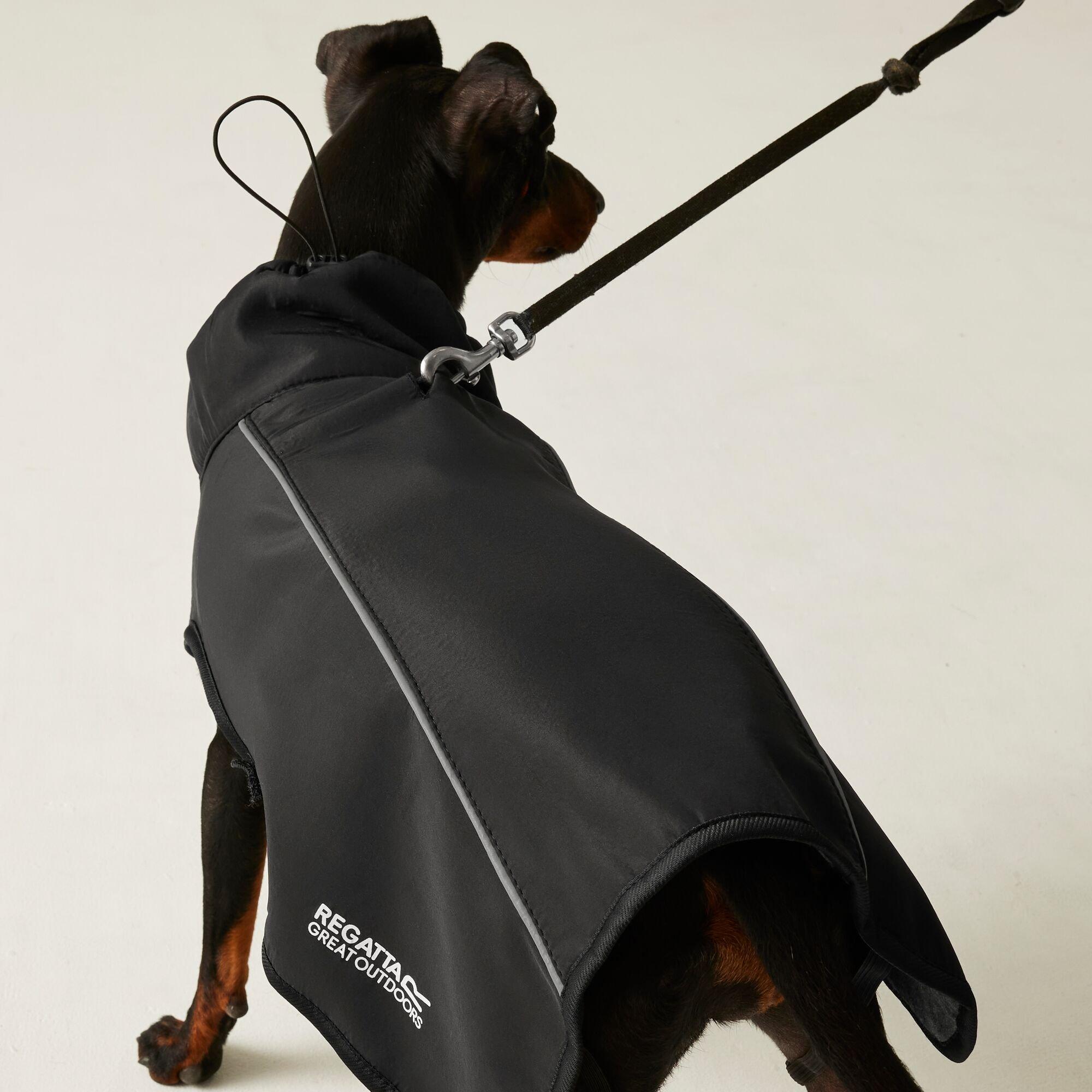 Black - Regatta - Softshell Dog Jacket - 5