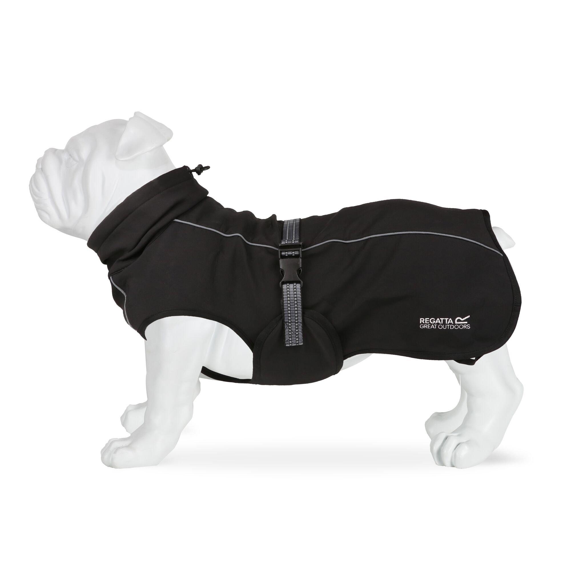 Black - Regatta - Softshell Dog Jacket - 8