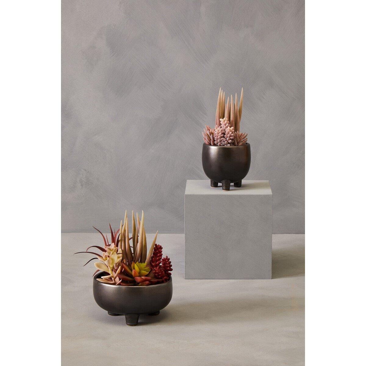 Grey - Fiori - Mixed Succulents In Ceramic Pot - 4