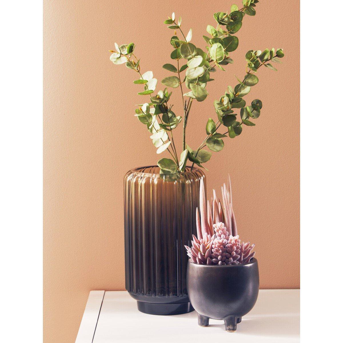 Grey - Fiori - Mixed Succulents In Ceramic Pot - 5