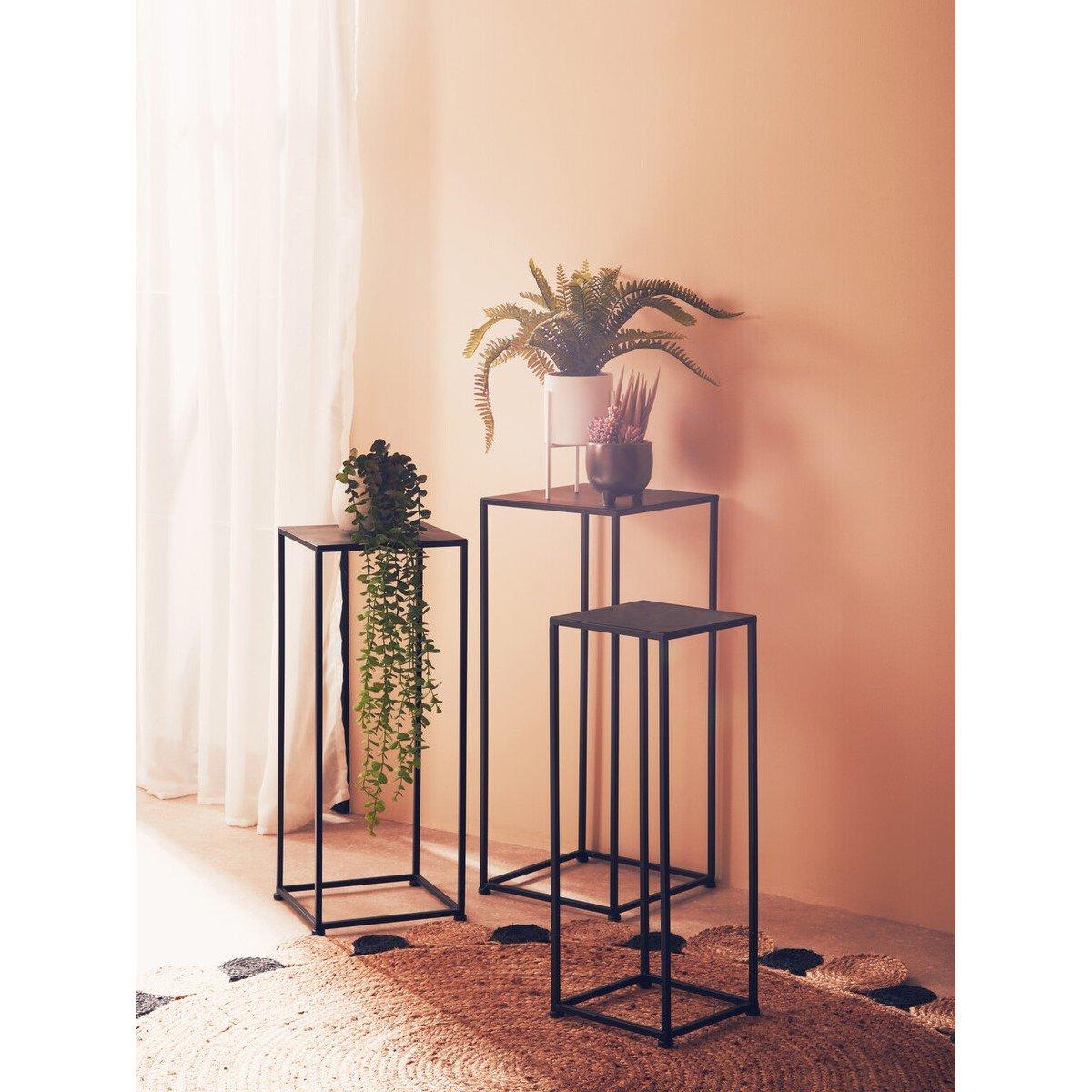 Grey - Fiori - Mixed Succulents In Ceramic Pot - 6