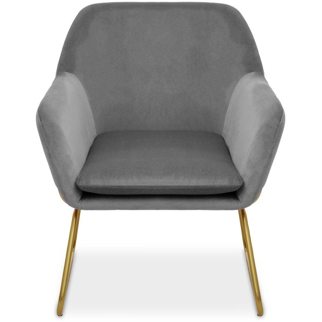Grey - Interiors by Premier - Xander Grey Velvet Armchair - 1