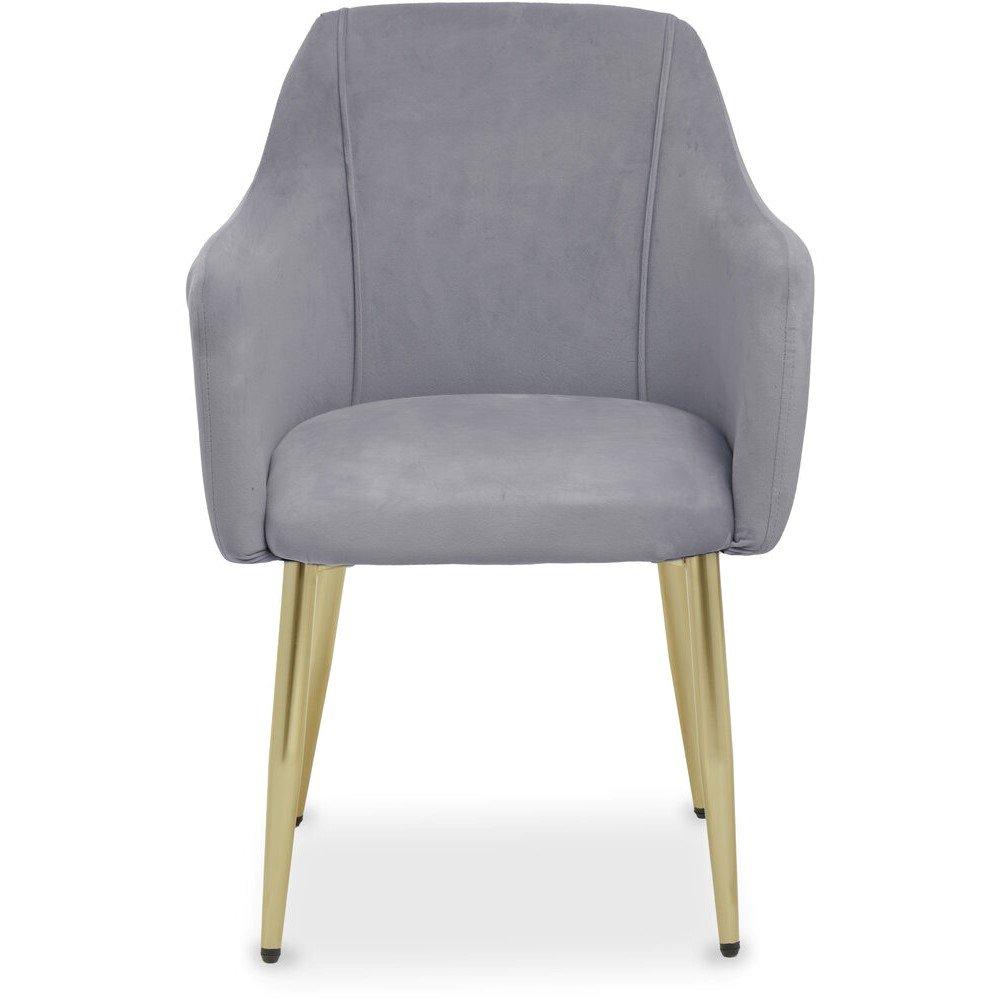 Interiors By Premier  Darcy Velvet Dining Chair Grey